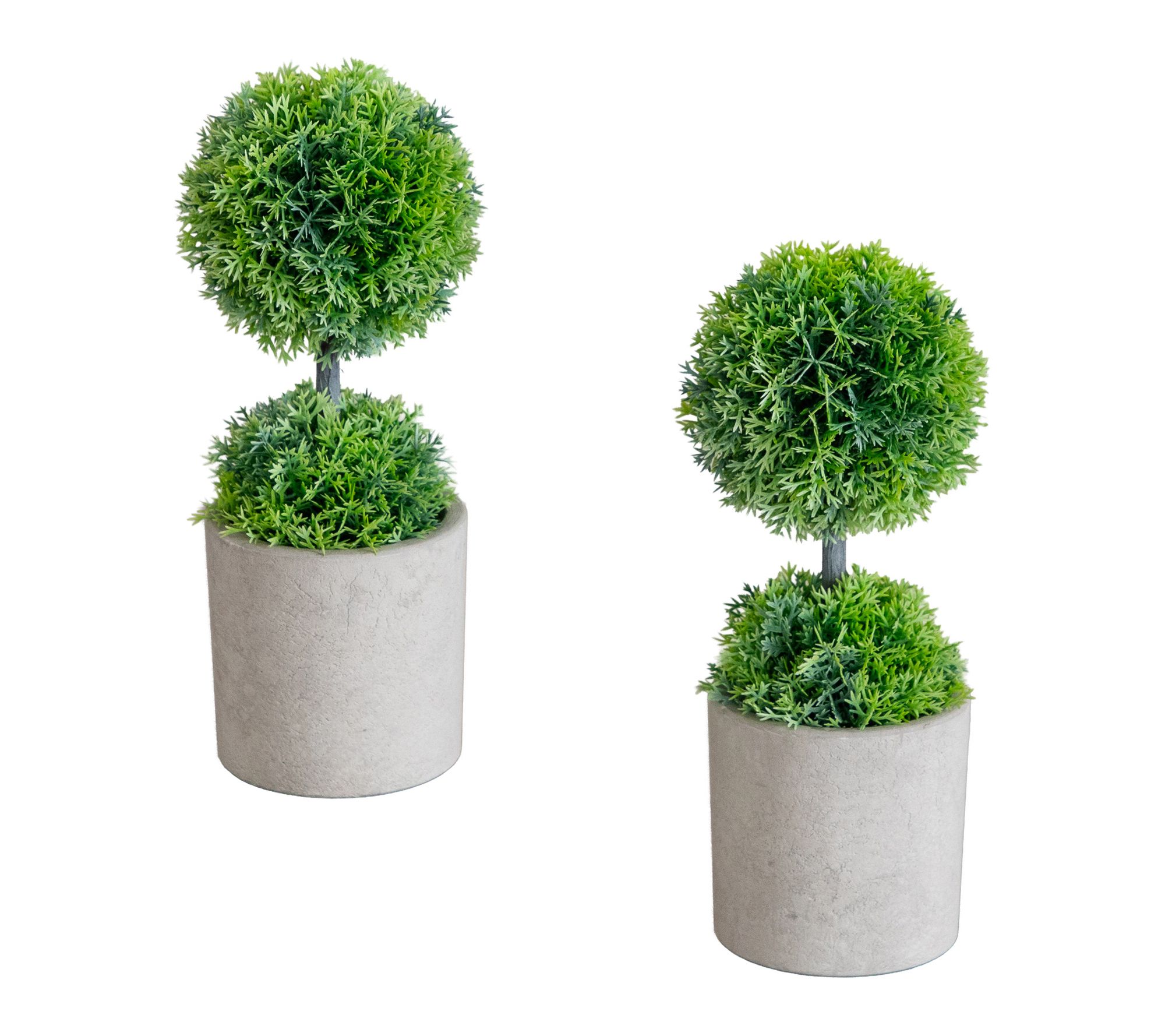 Mini Cedar in Cement Planter - Set of 2 by Nearly Natural