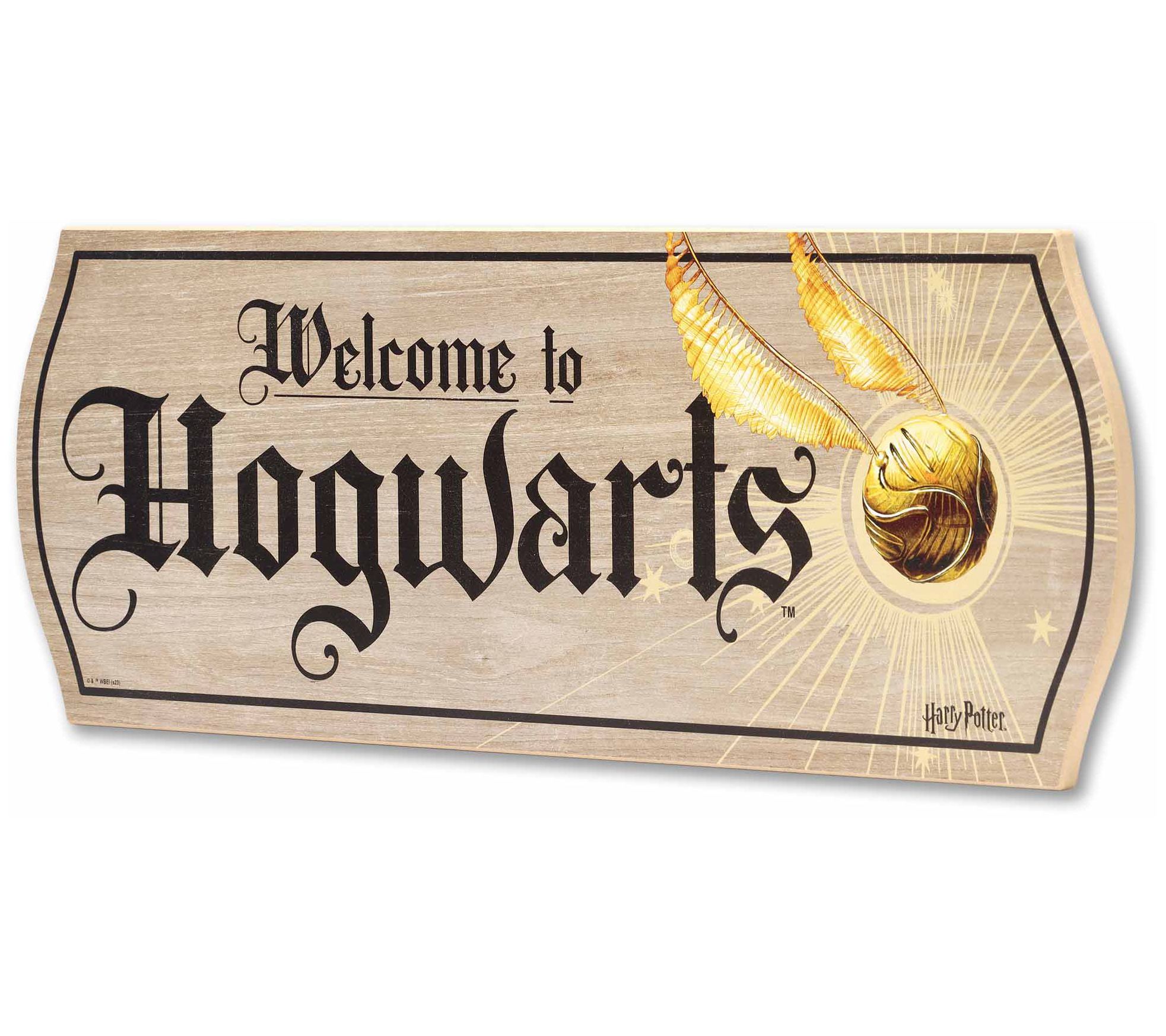 Harry Potter Welcome to Hogwarts Wooden Sign by Open Roads - QVC.com