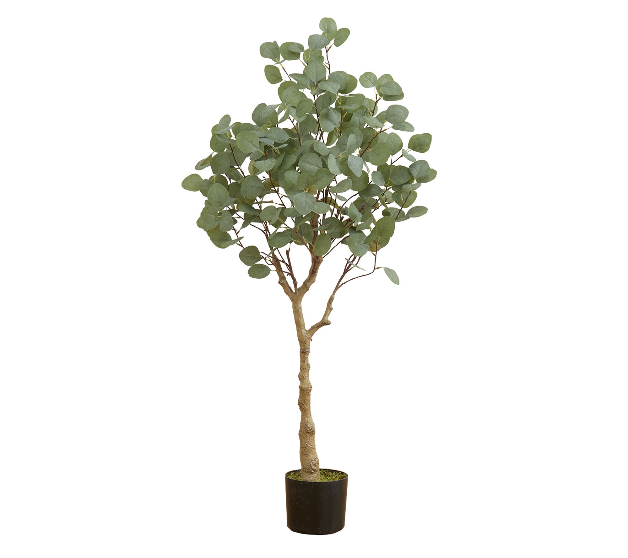 Nearly Natural 4' Artificial Eucalyptus Tree - QVC.com