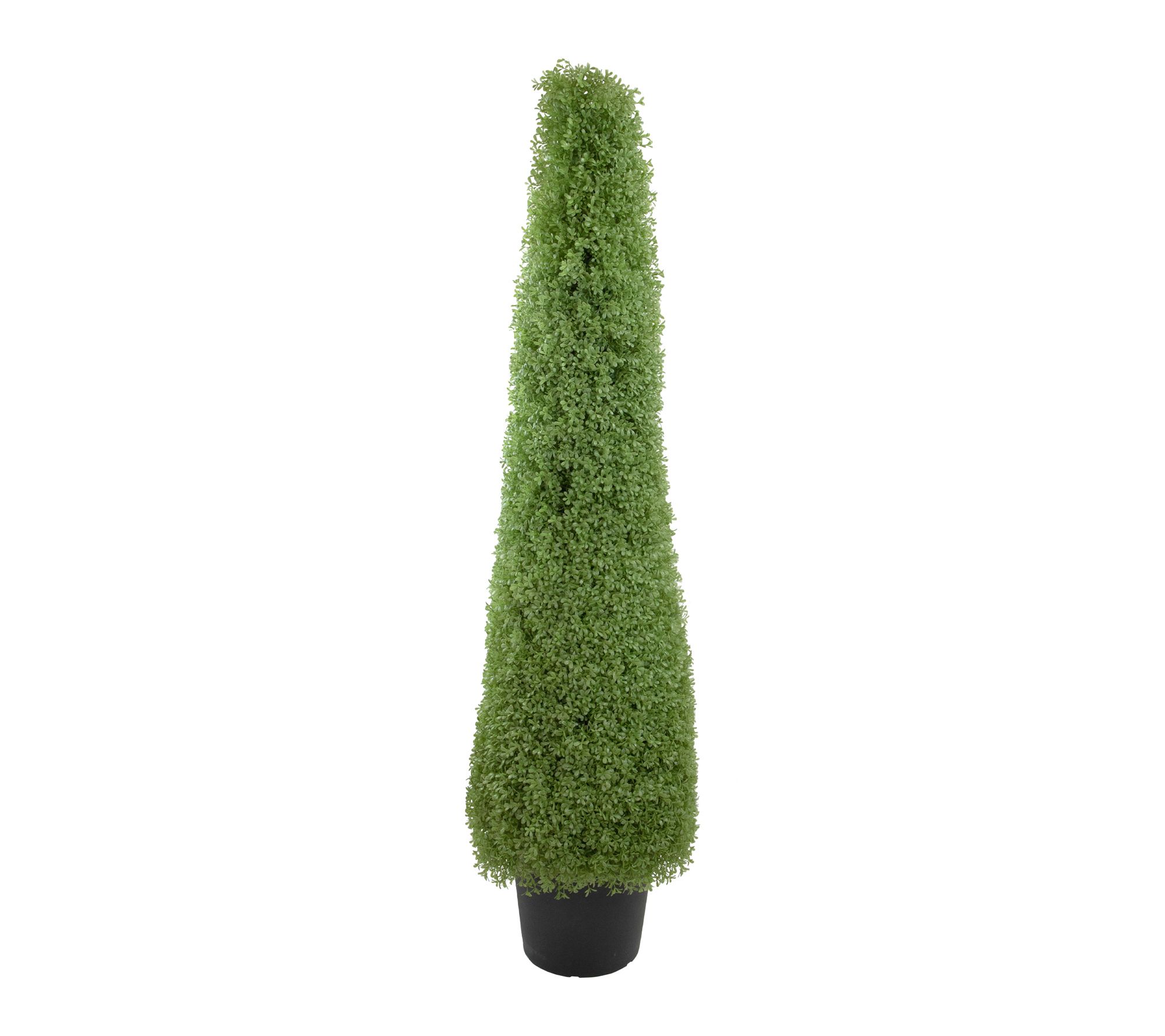Northlight 5' Boxwood Cone Topiary Tree in Round Pot