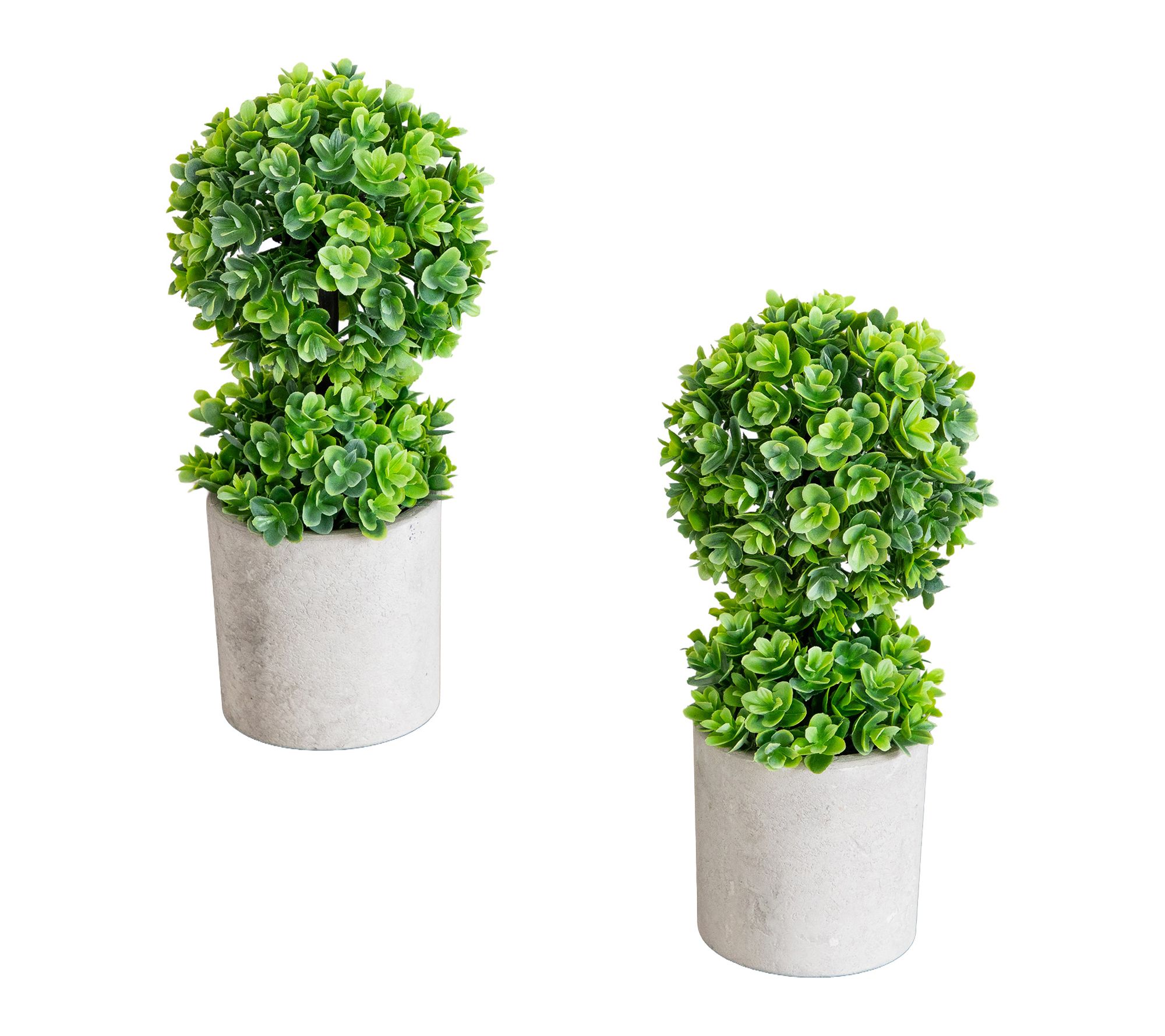 Mini Eucalyptus Plant in Planter - Set of 2 by Nearly Natural