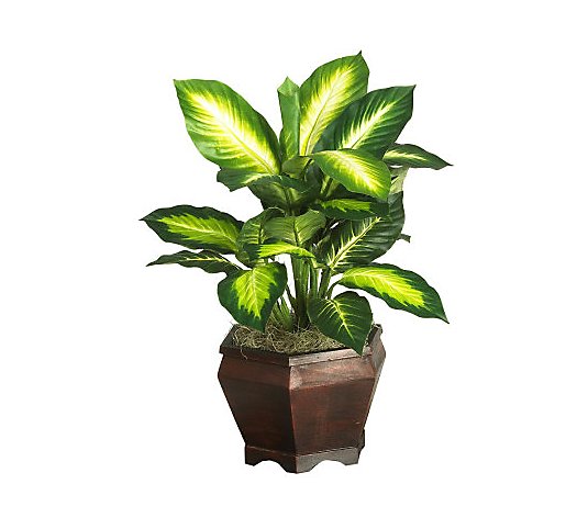 Golden Dieffenbachia w/Wood Vase Plant by Nearly Natural