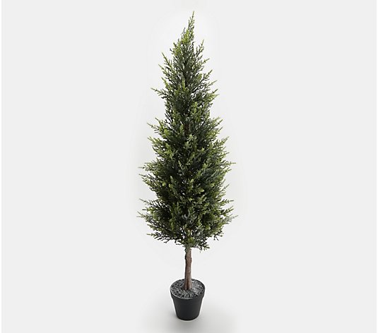 42" Frosted Spruce Tree in Pot by Valerie