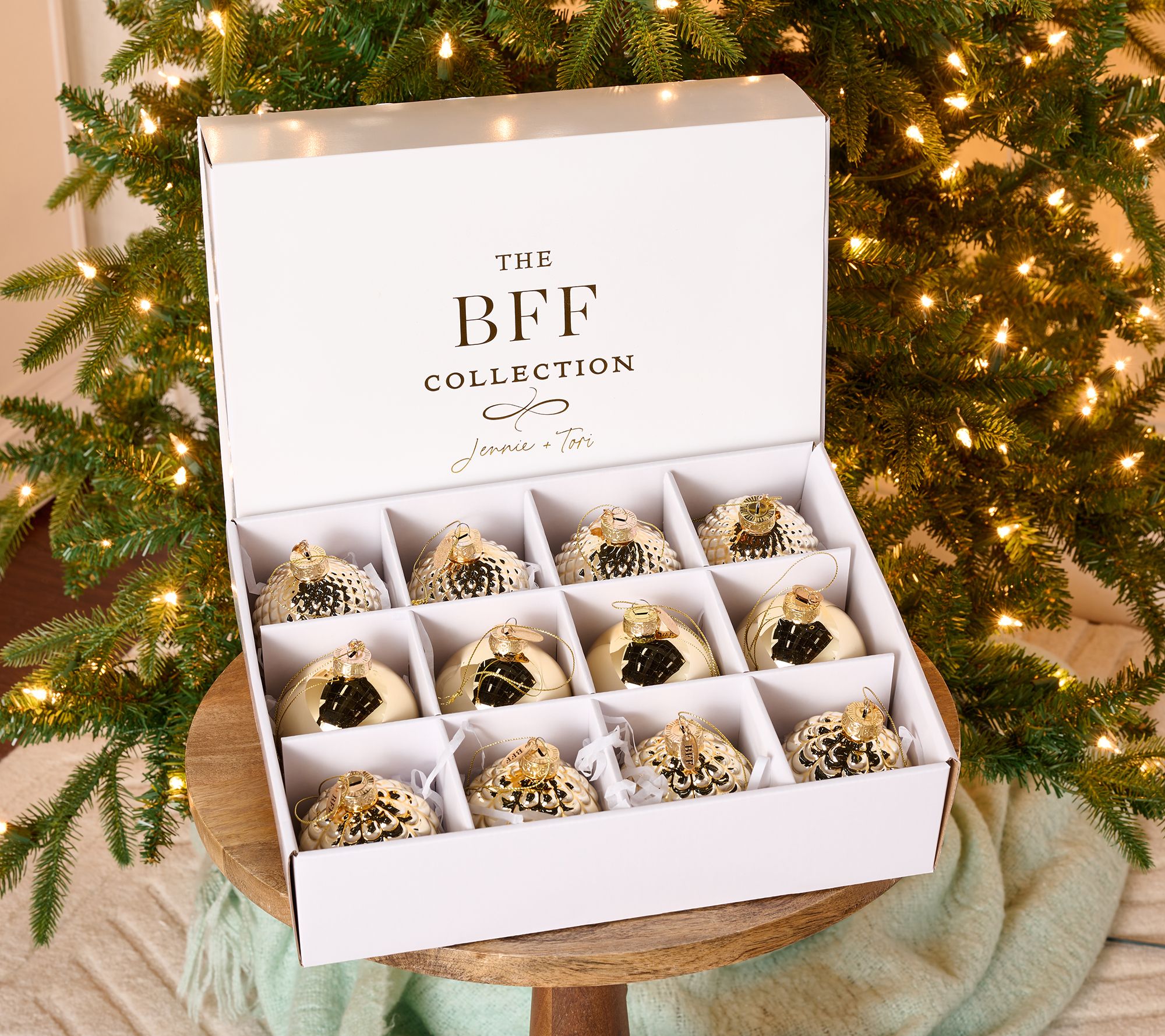 As Is  BFF Collection (12) Metallic GlassOrnaments w/Box