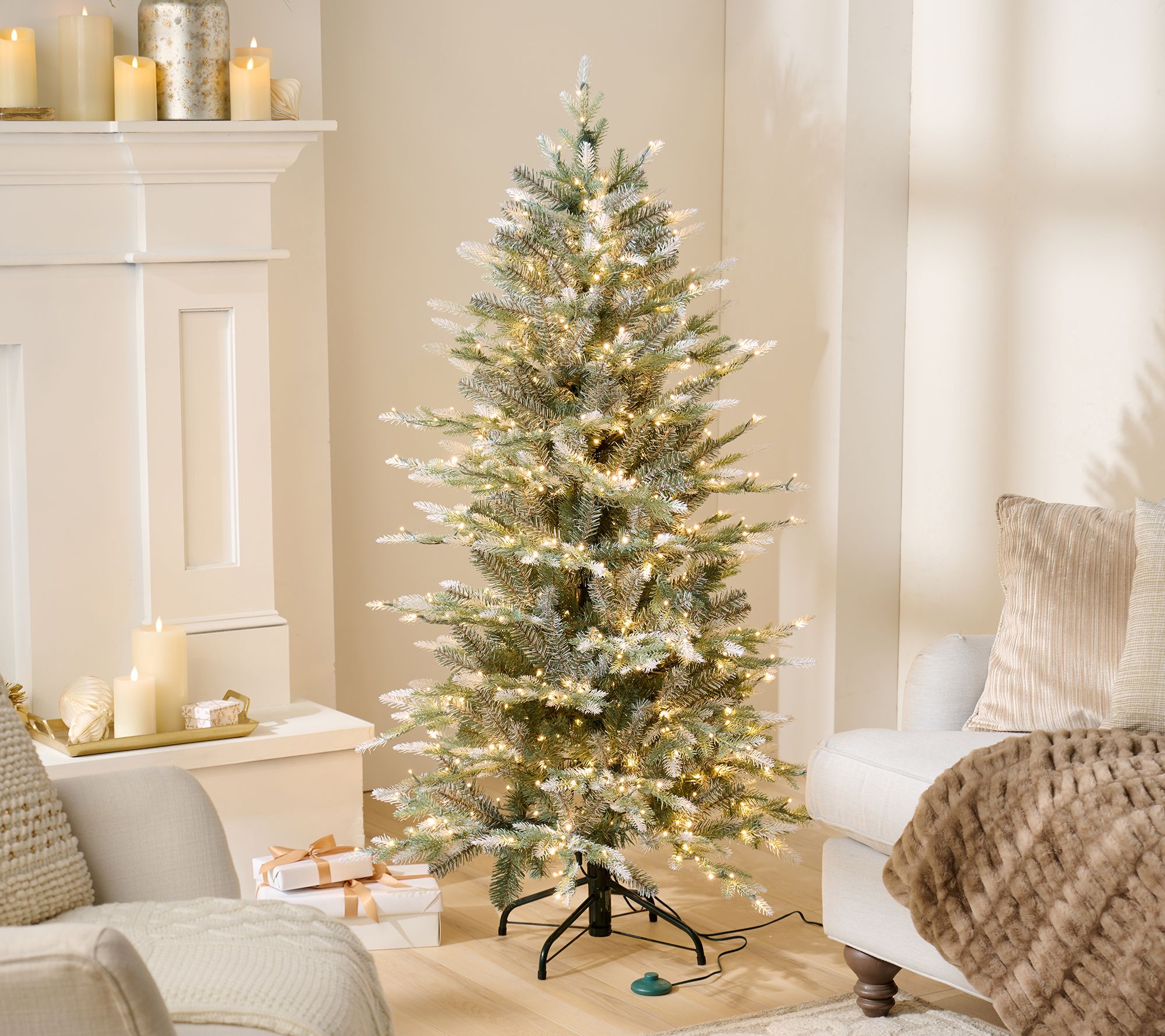 Snow Spruce