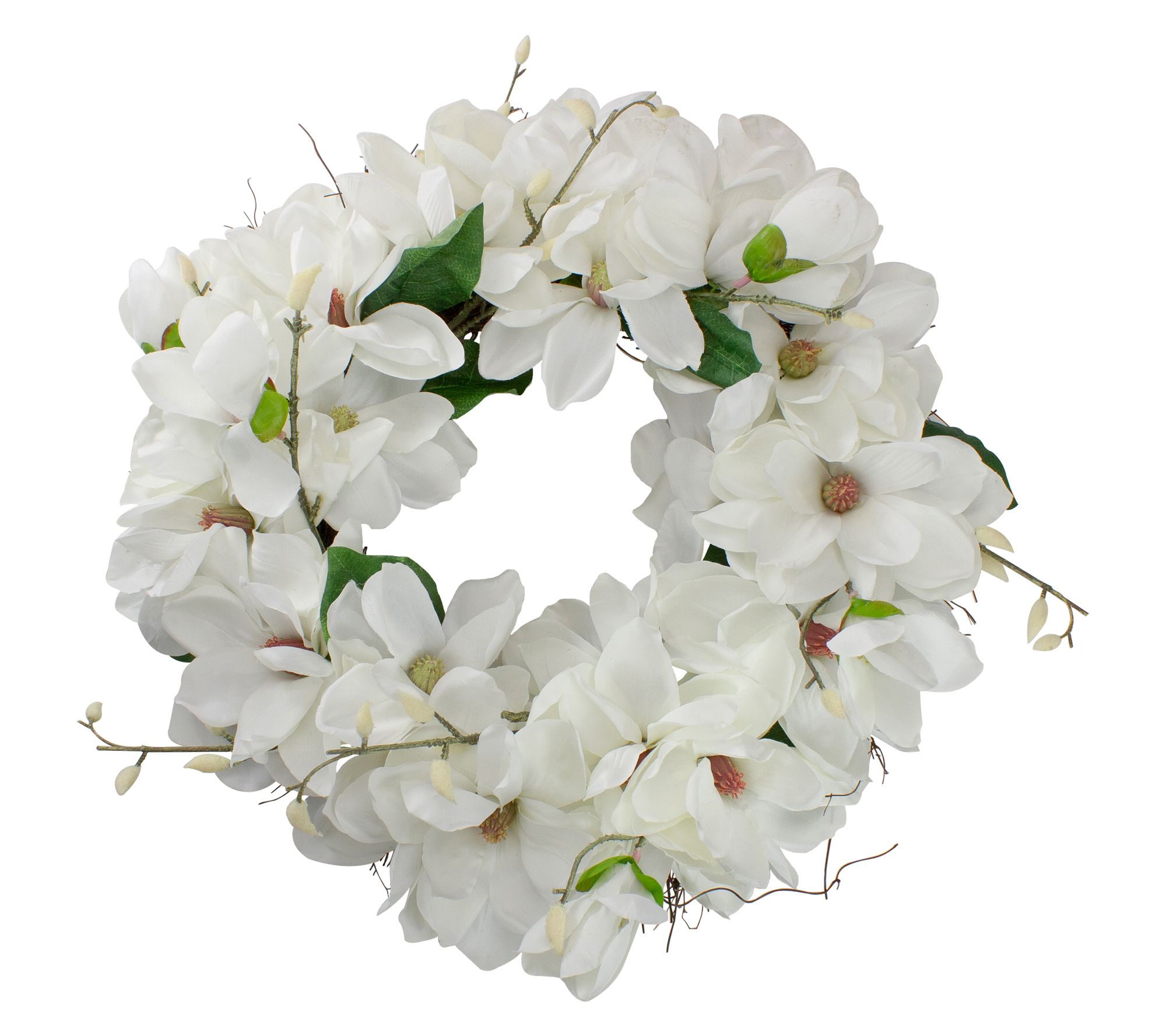 Northlight White Magnolias Spring Wreath - 24-Inch  Unlit