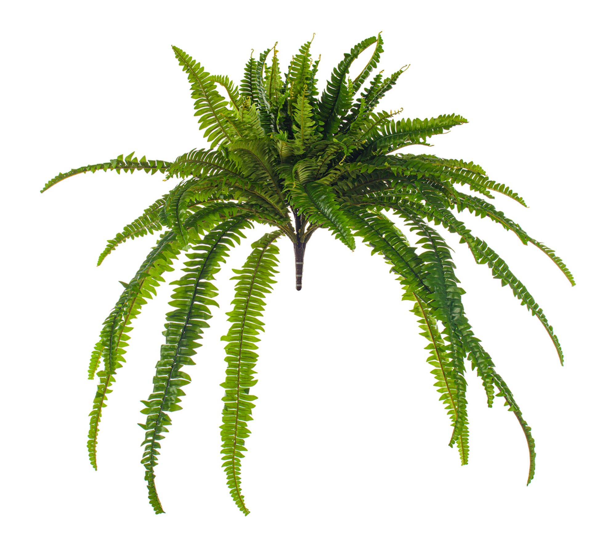 Vickerman 39" Green Boston Fern UV