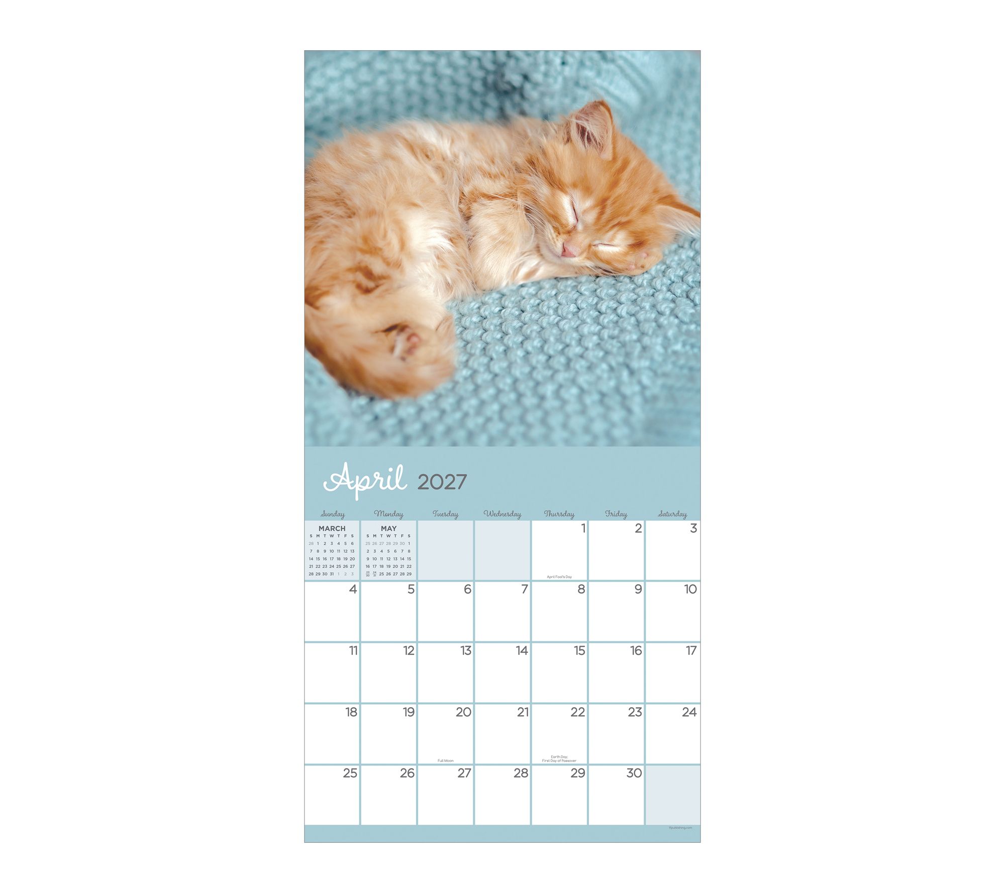 TF Publishing 2027 Cat Dreams Wall Calendar - QVC.com