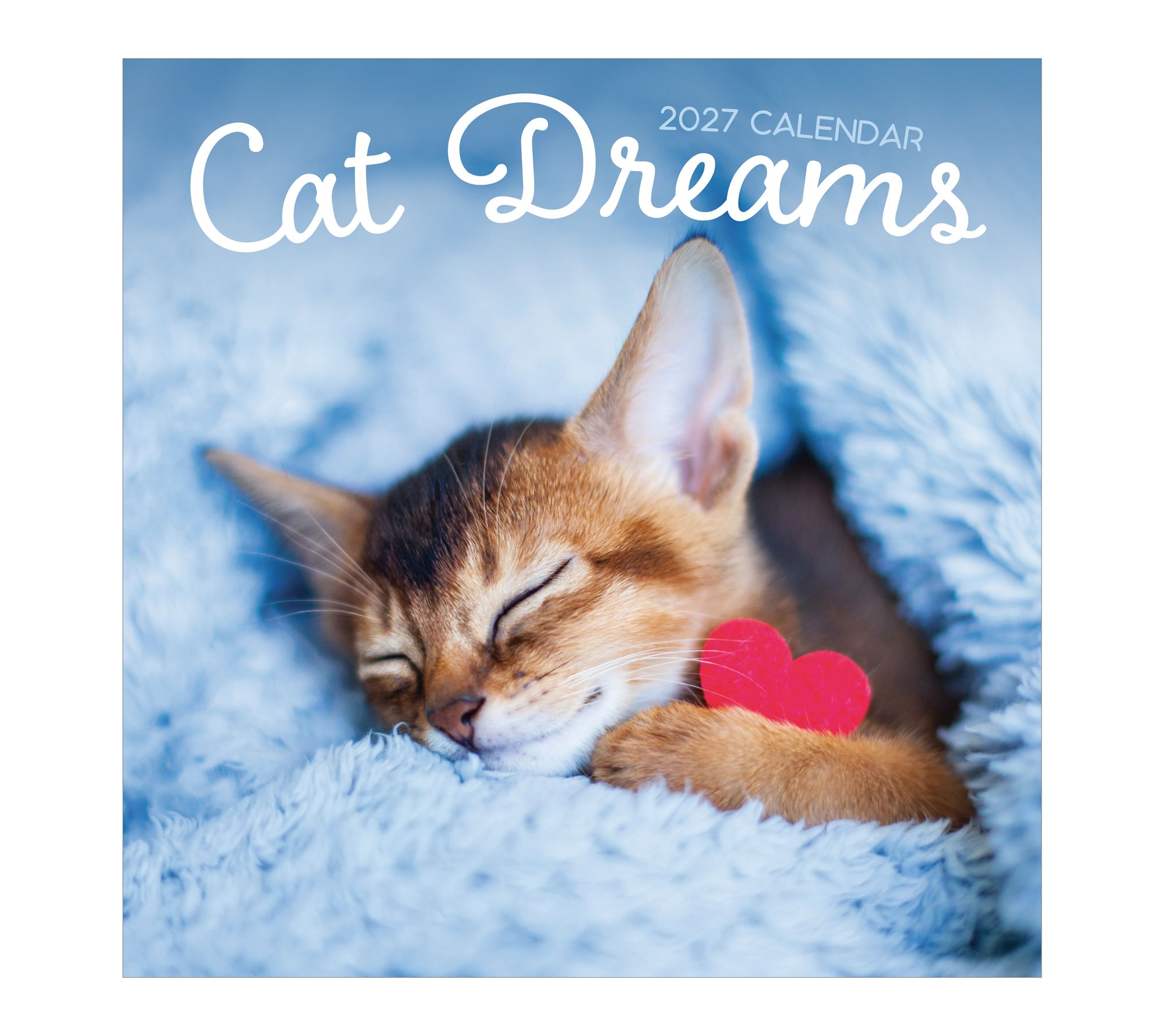 TF Publishing 2027 Cat Dreams Wall Calendar - QVC.com