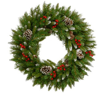 National Tree Company 24" Frosted Berry Wreath - H305397