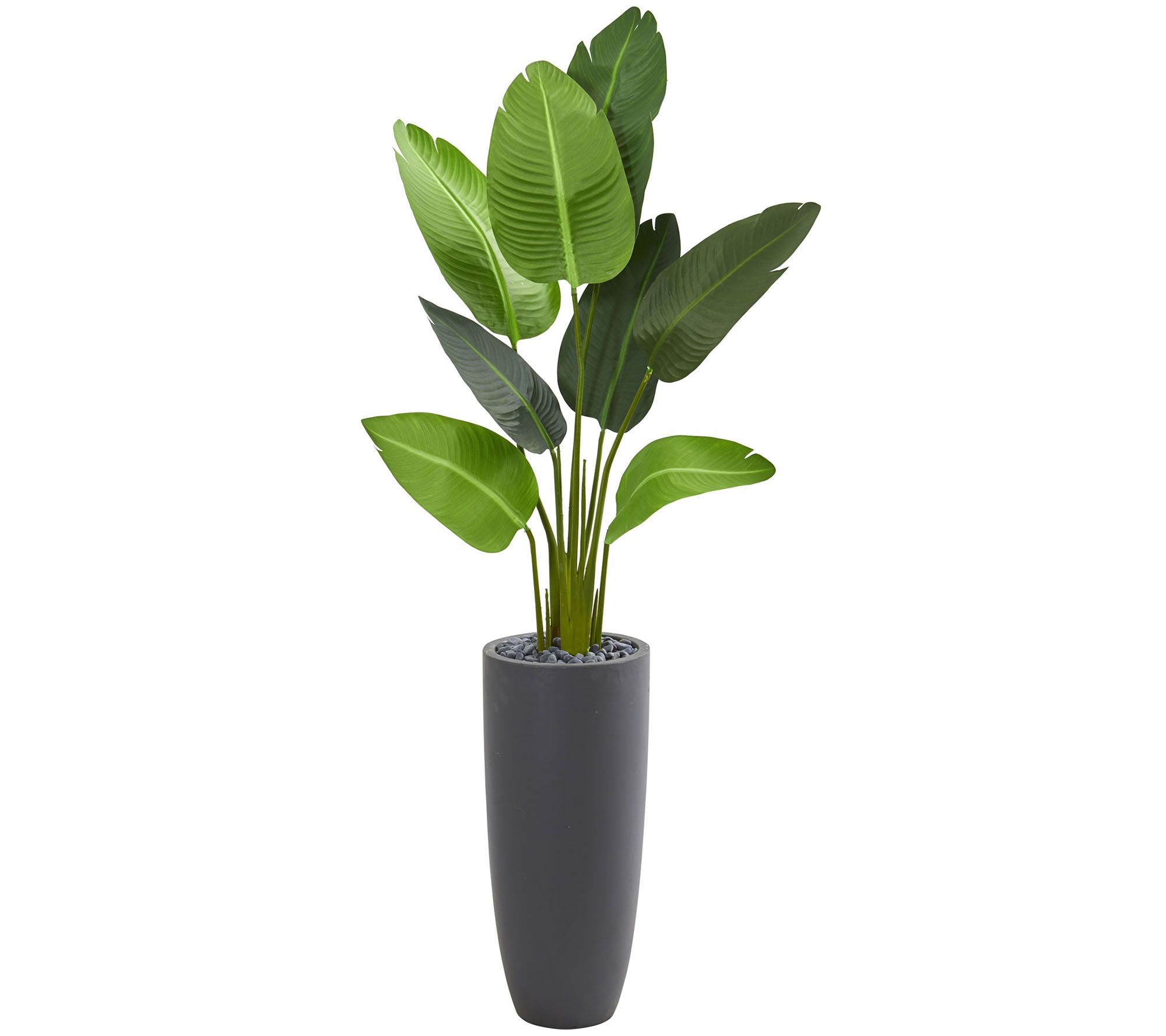 5.5' Traveler's Palm Tree in Gray Planter by Nearly Natural