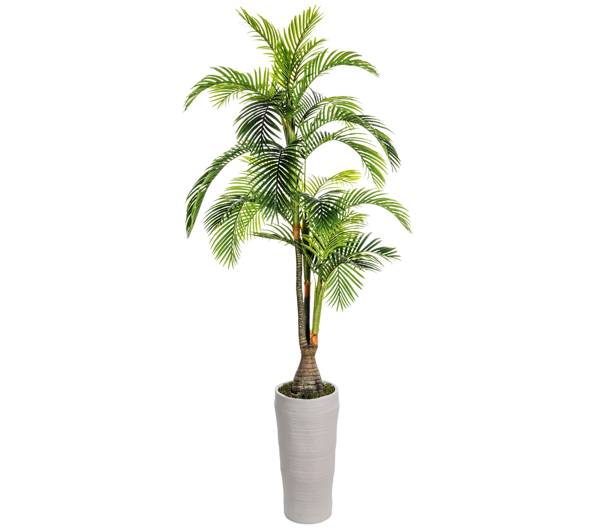 Planter for palm tree