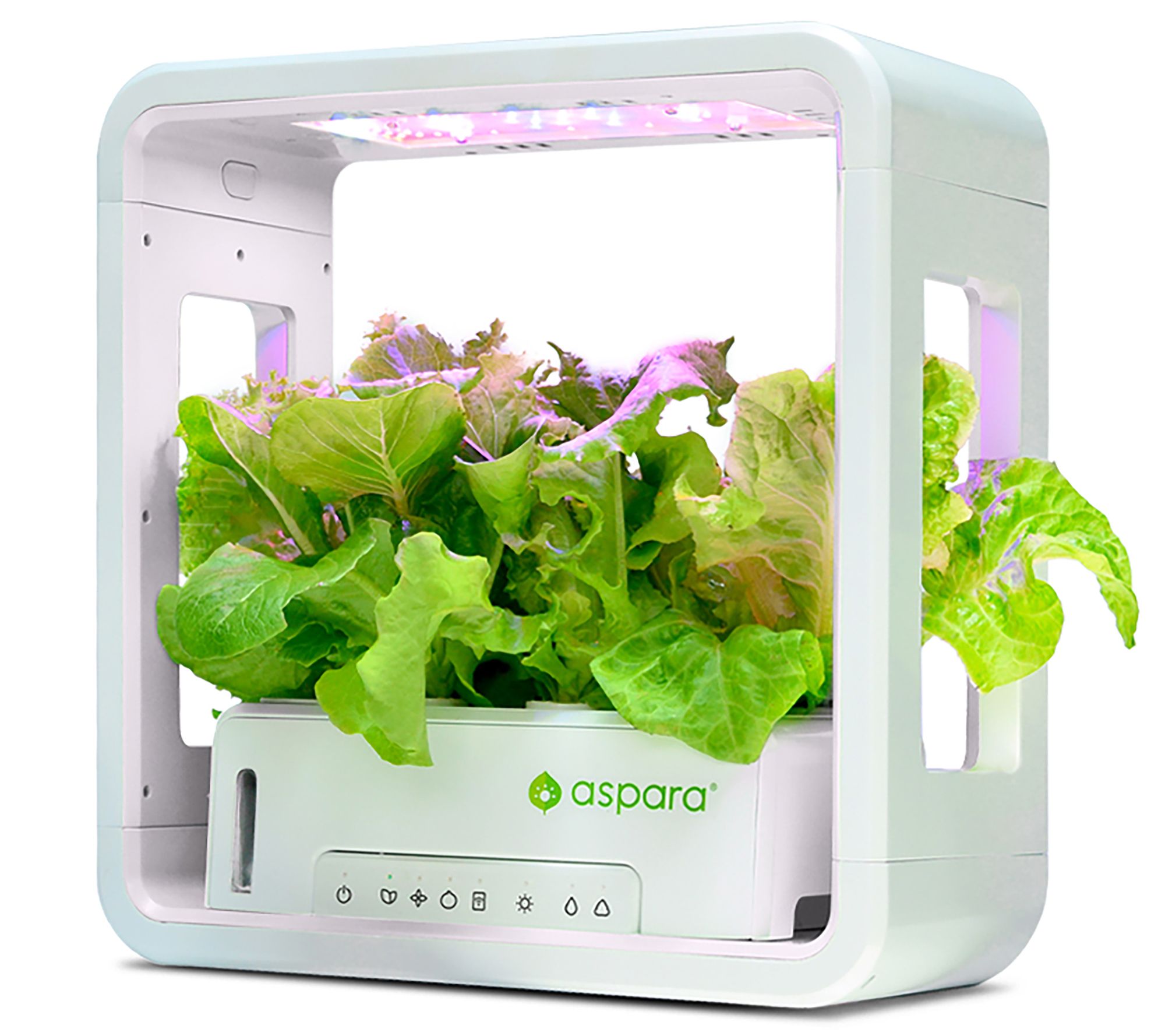 aspara Stylist Lite Smart Grower