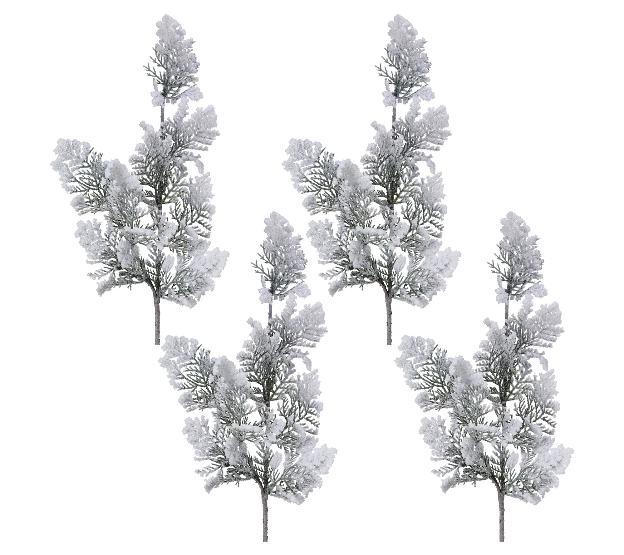 24" Snowy Acadia Cedar Spray Set of 4 by Valerie