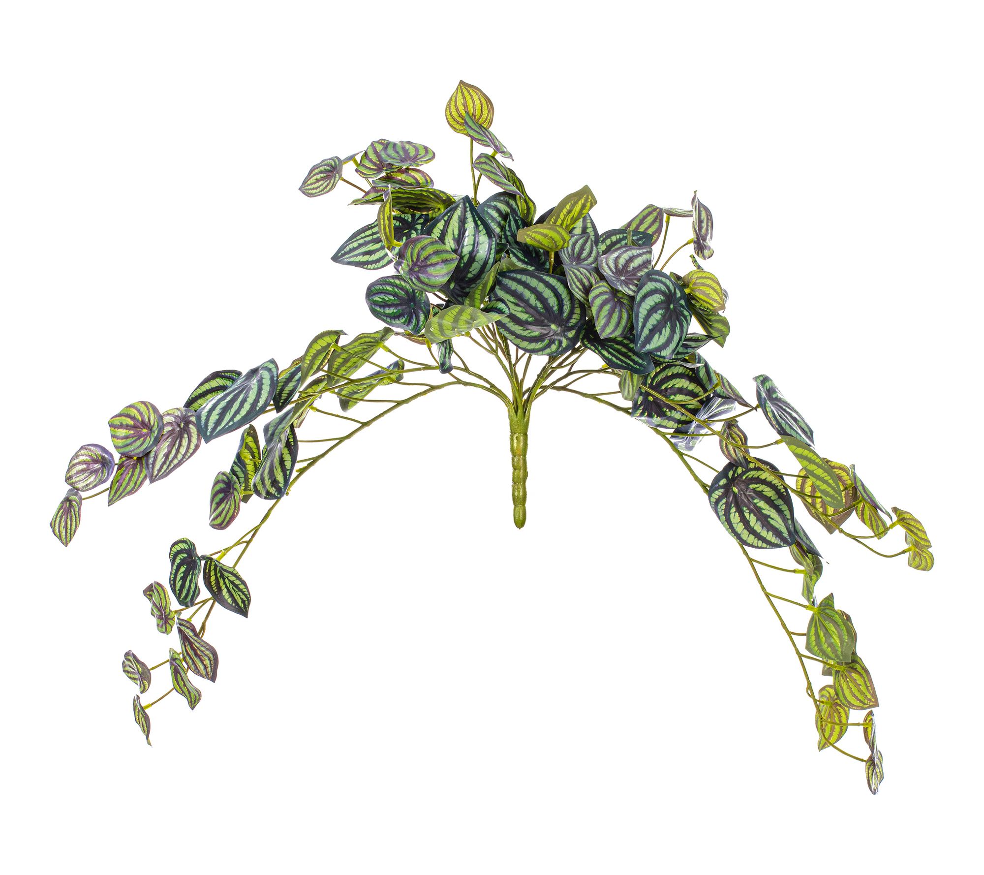 Vickerman 25" Peperomia Piccolo Bush UV