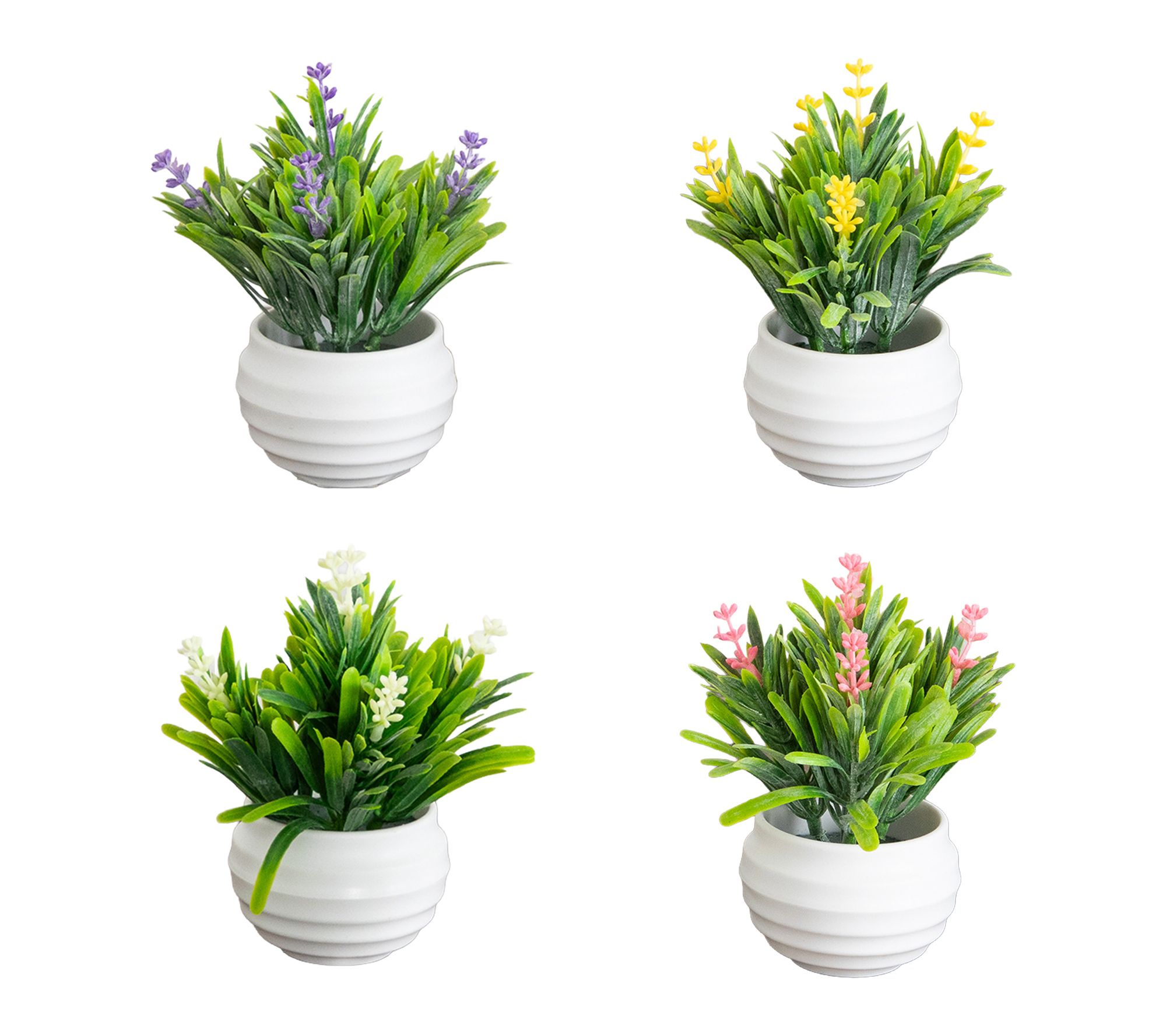 Mini Lavender in Oval Pot - Set of 4 by Nearly Natural
