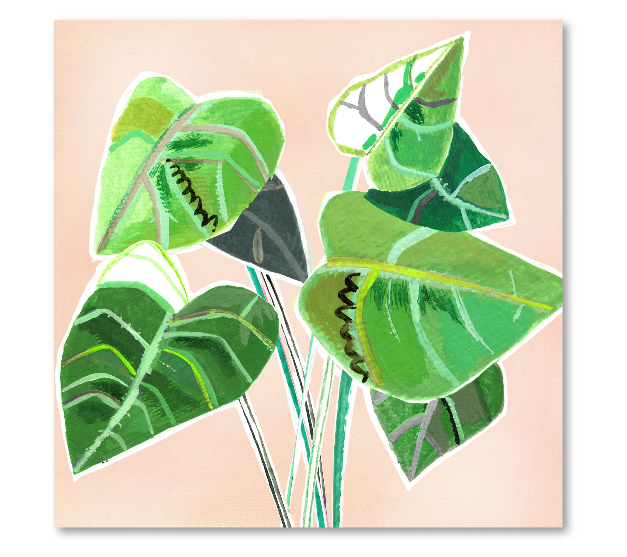 Courtside Market Abstract Elephant Ear 16x16 Canvas Wall Art