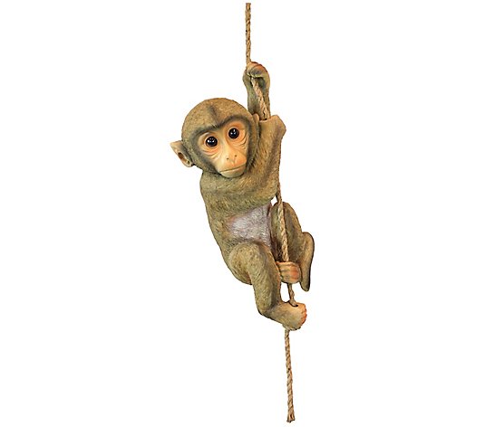 Design Toscano Chico The Chimpanzee Hanging Monkey Statue