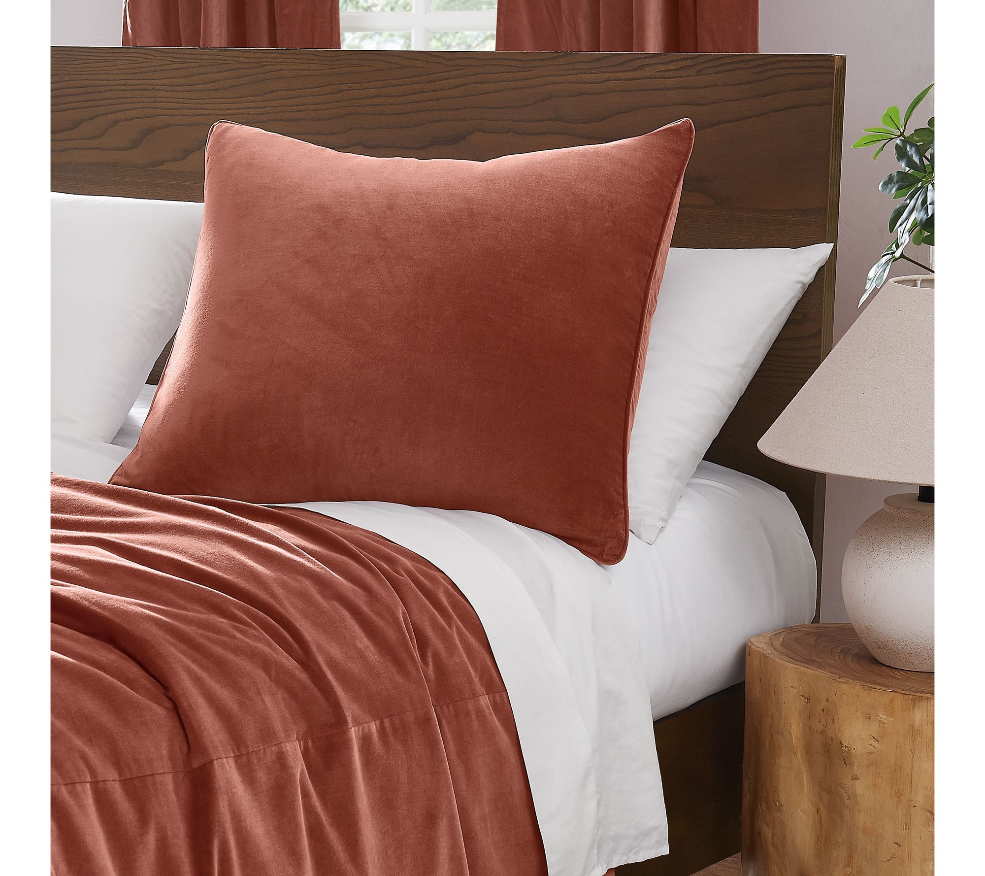 Brooklyn Loom Matte Cotton Velvet Euro Sham