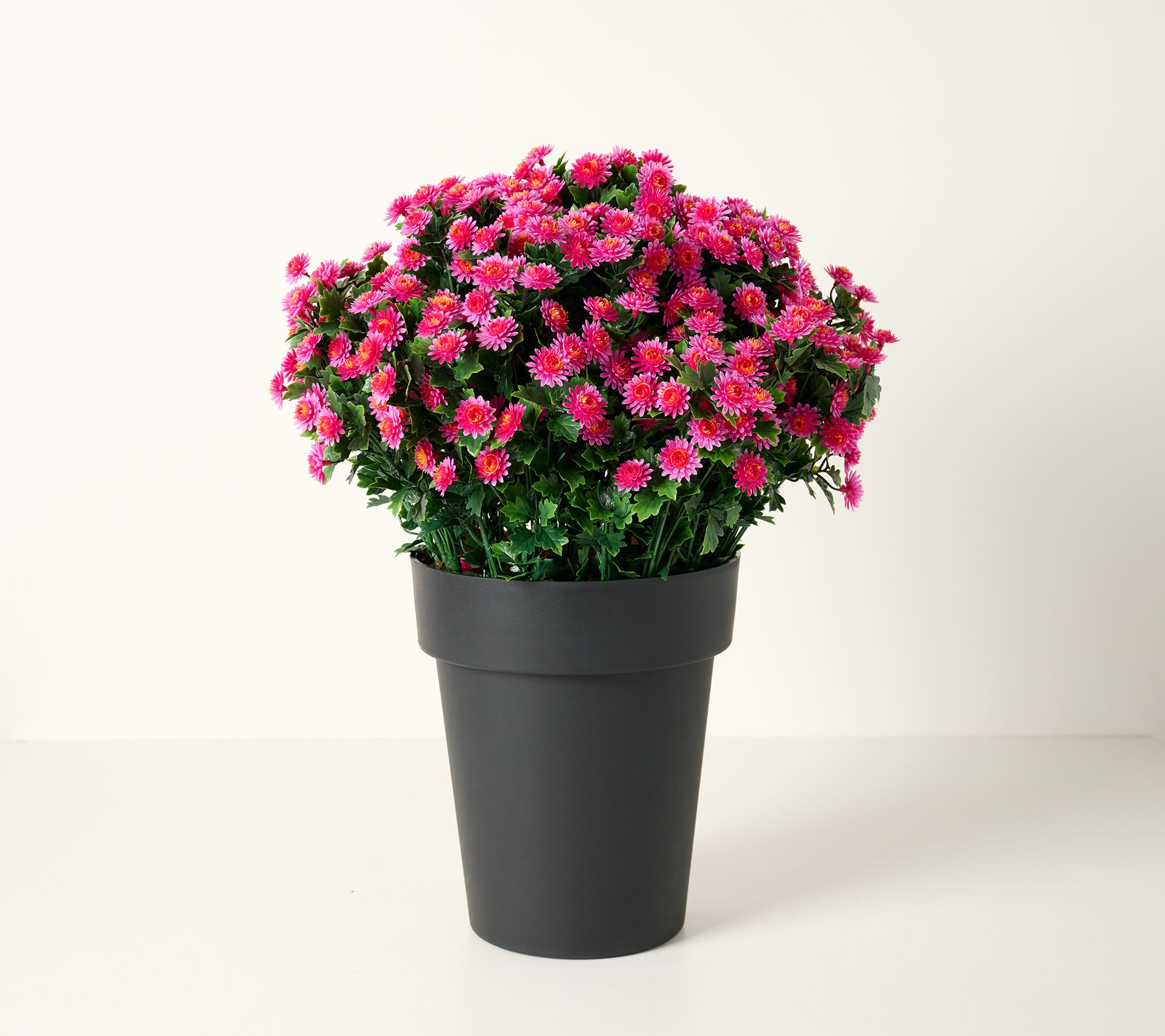 Wicker Park 24" Indoor/Outdoor Jumbo Potted Faux Mums