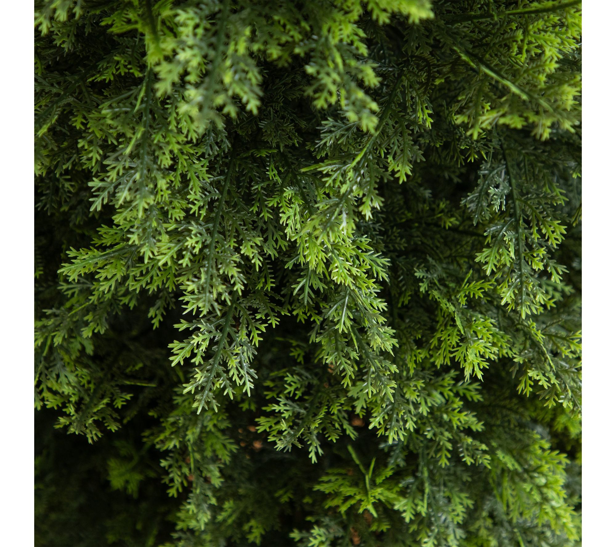 6-ft Cedar Christmas Tree by Nearly Natural | QVC