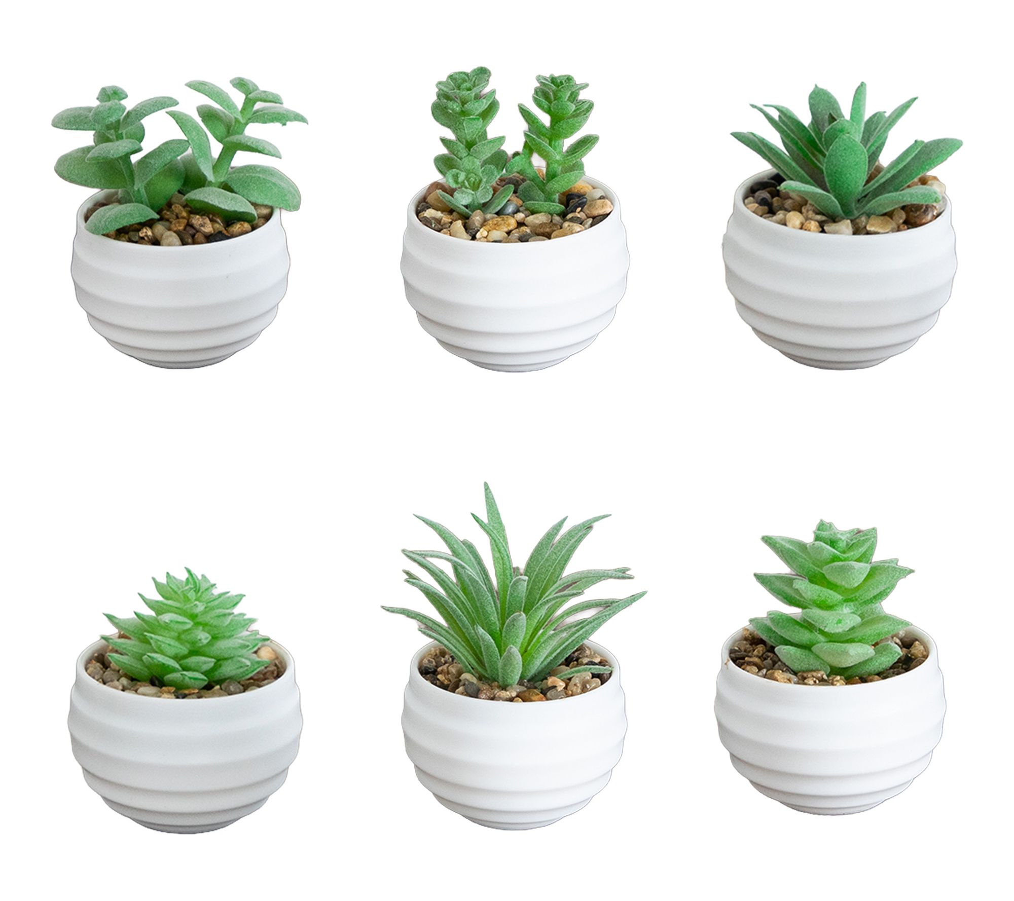 Mini Succulent in White Planters - Set of 6 by Nearly Natural