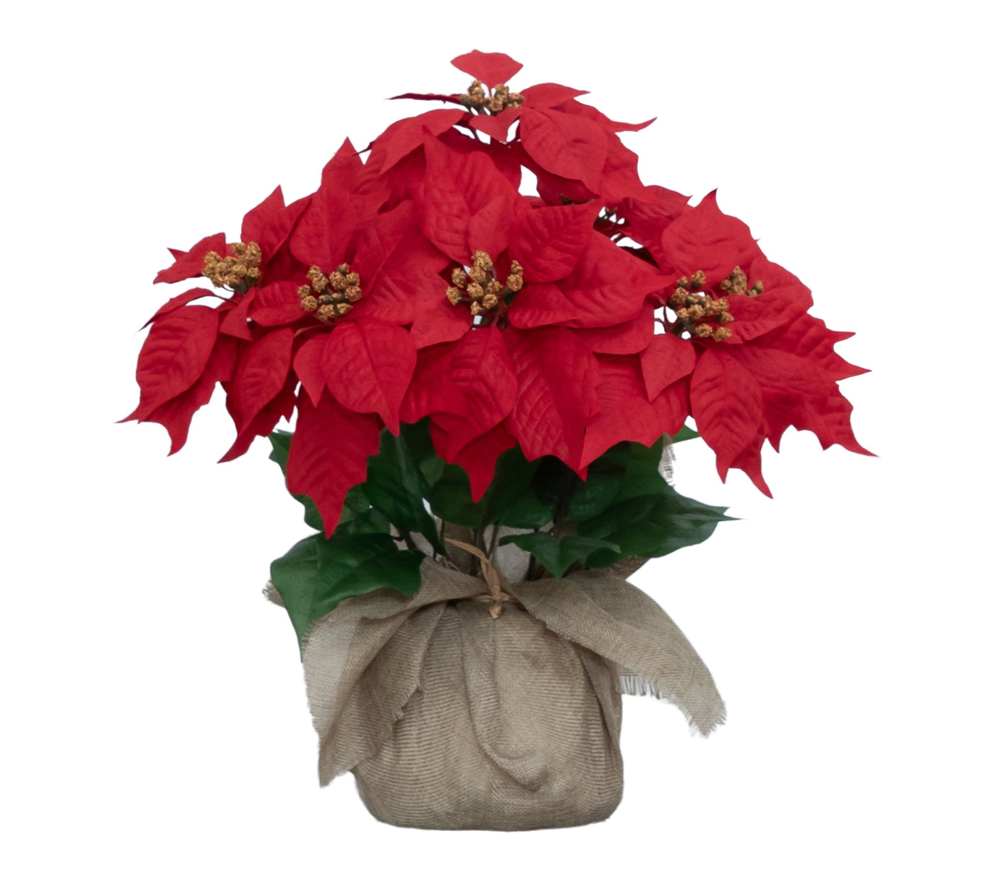 16-in Poinsettia in Burlap Planter by Nearly Natural