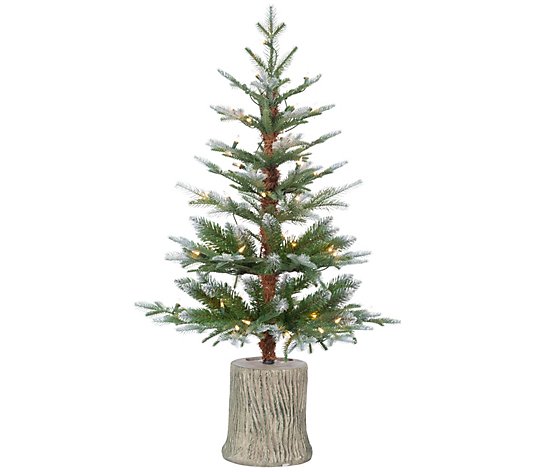 3-Ft High Potted Natural Cut Frosted Pine Treeby Sterling Co