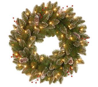 National Tree Company 24" Spruce with Battery-Operated Lights