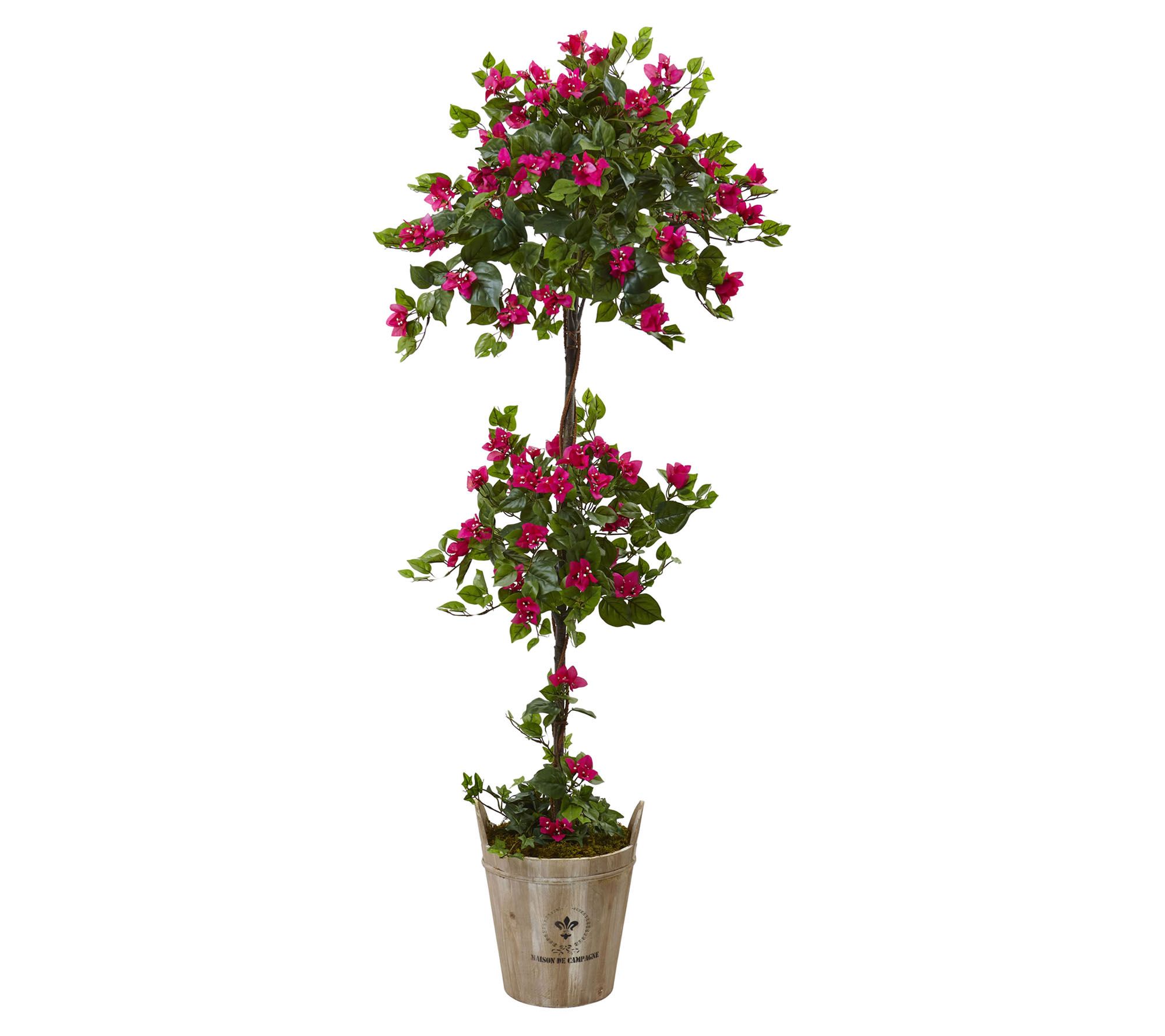 5.5' Bougainvillea Tree in Barrel Planter by Nearly Natural - QVC.com