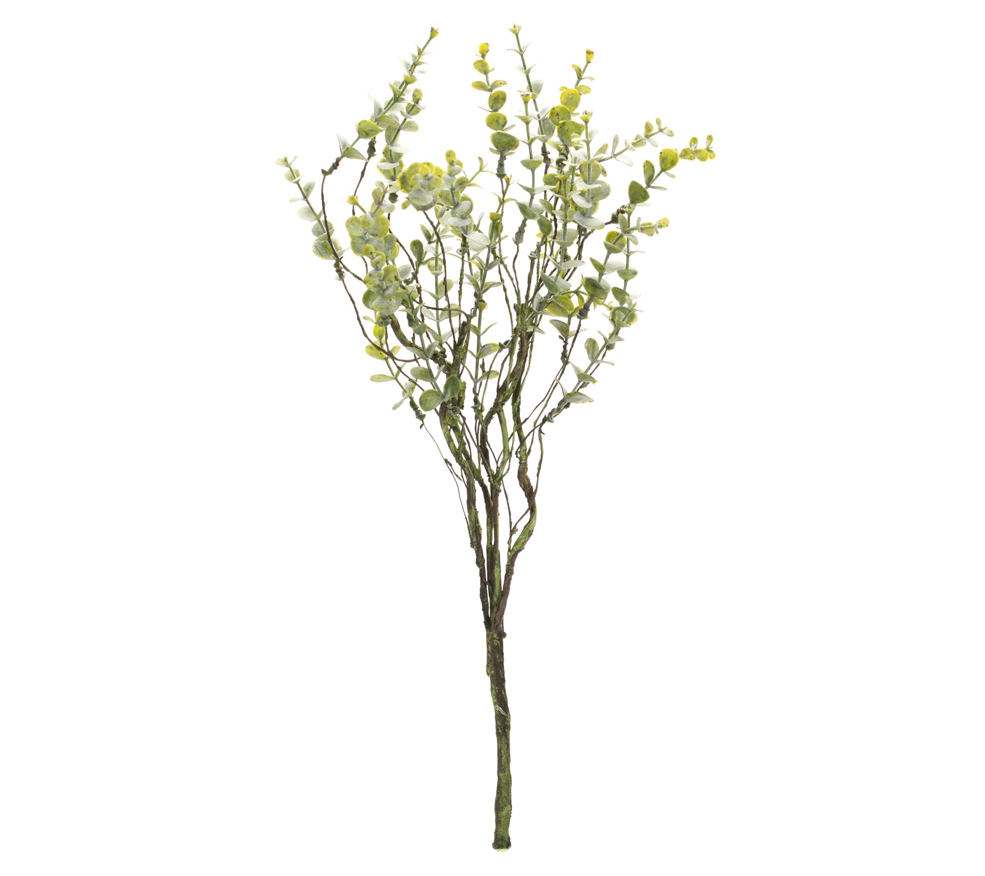 Melrose International Boxwood Foliage Bush (Set of 6) main image 0