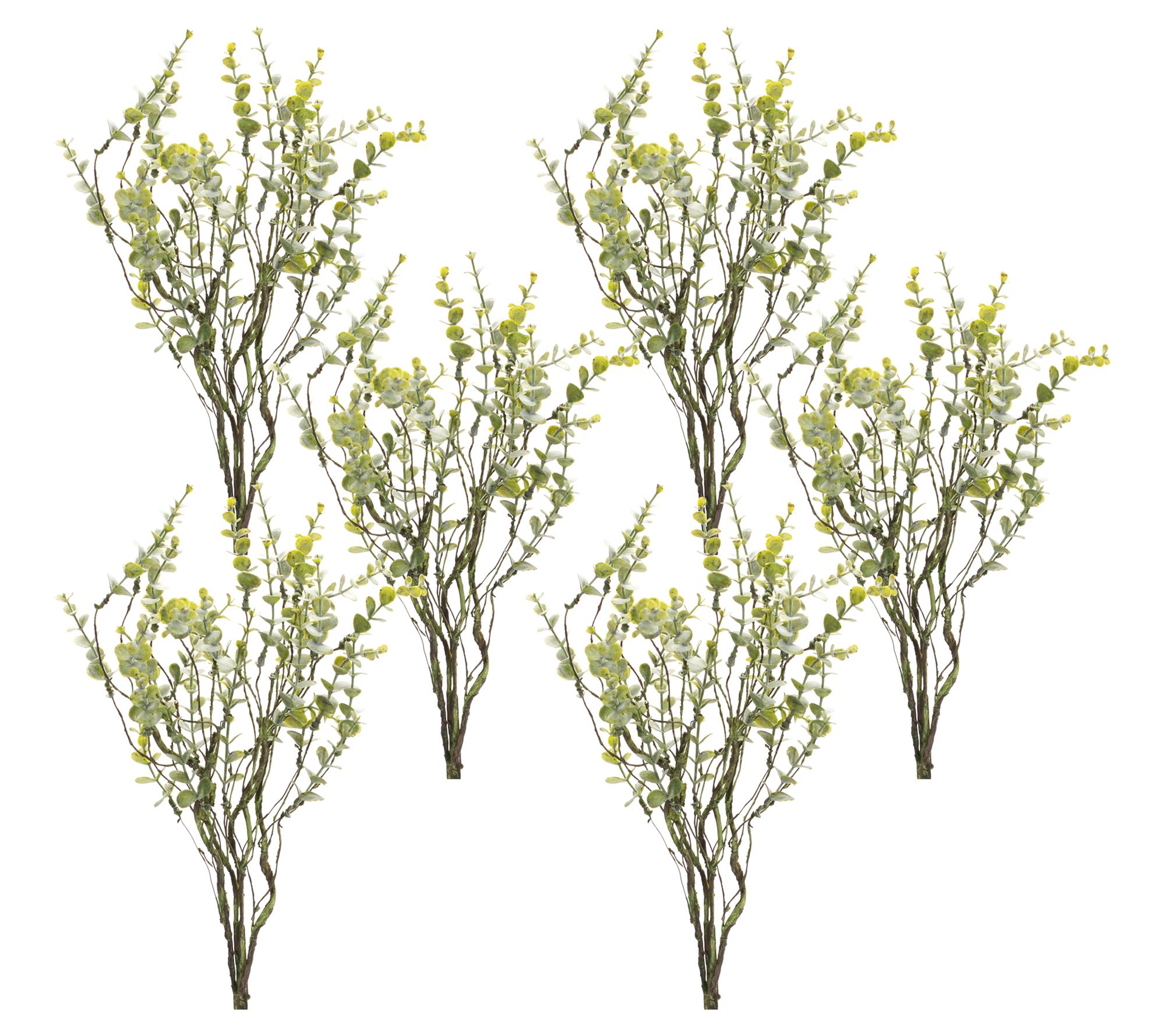 Melrose Boxwood Twig Branch Spray (Set of 6)