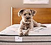 Northern Nights 13.5" Dual Coil Plus Hybrid Mattress - Queen, 1 of 2