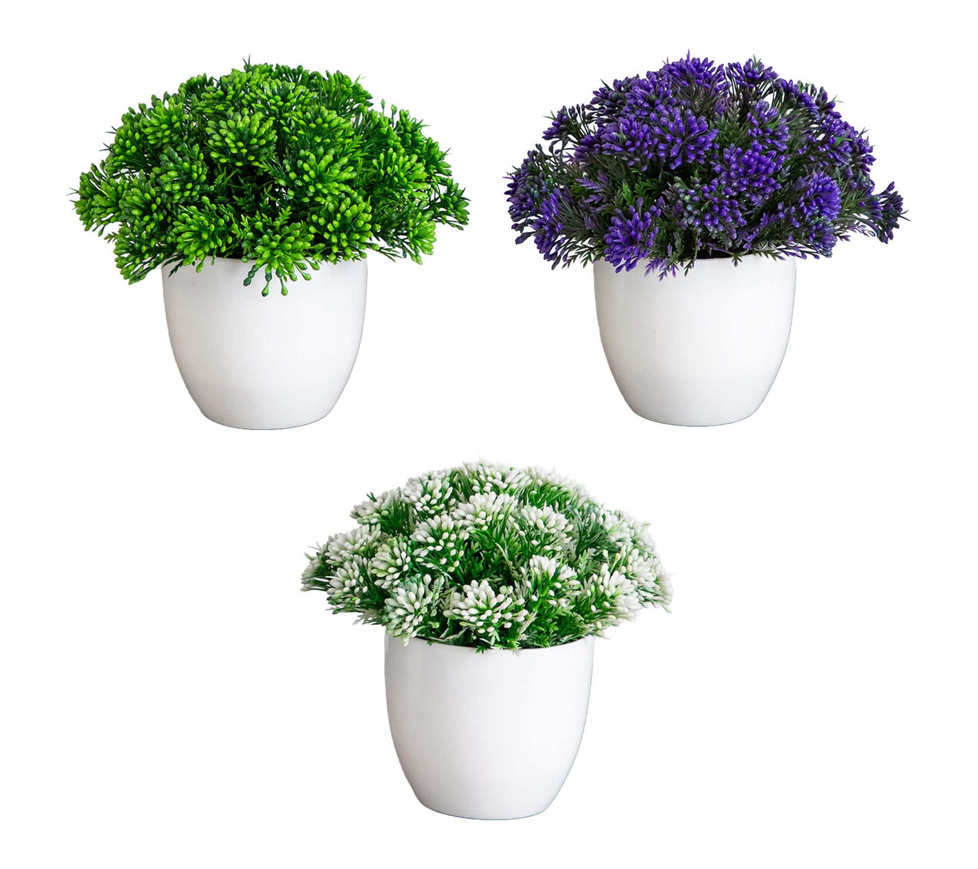 Mixed Color Plant in White Pot - Set of 3 by Nearly Natural