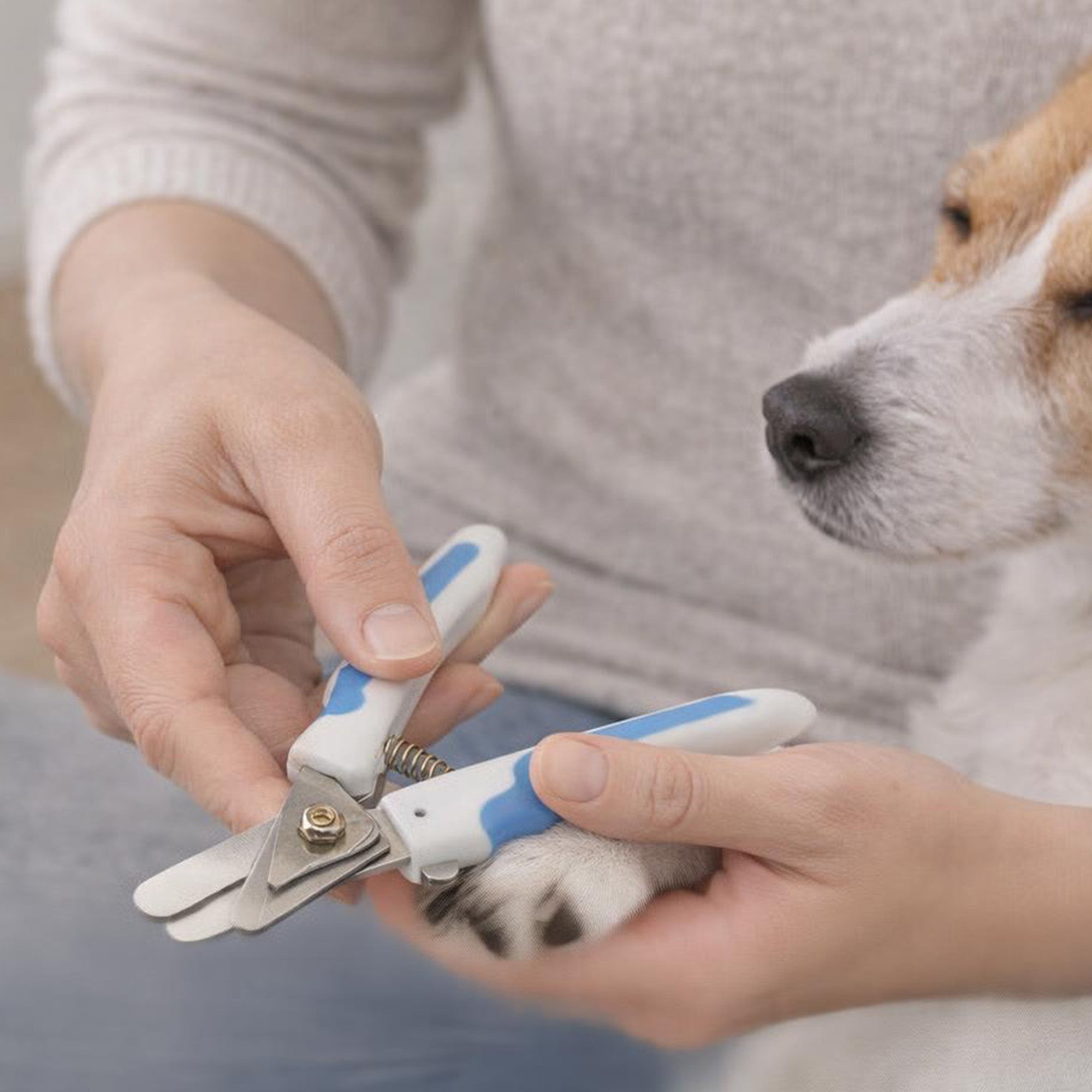 Thoogo
Forbicine per
unghie animali
domestici