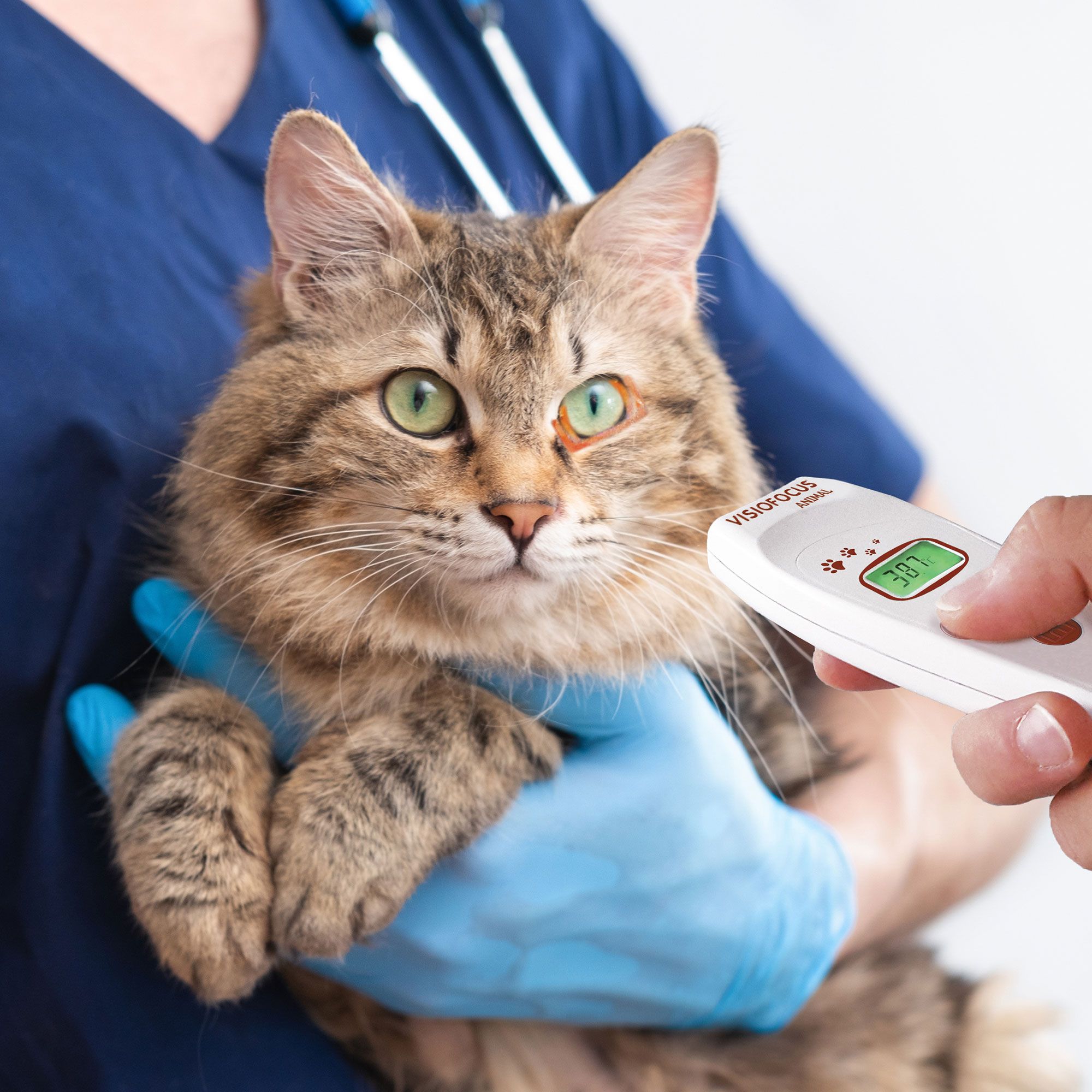 Tecnimed
Termometro animali
VisioFocus Animal