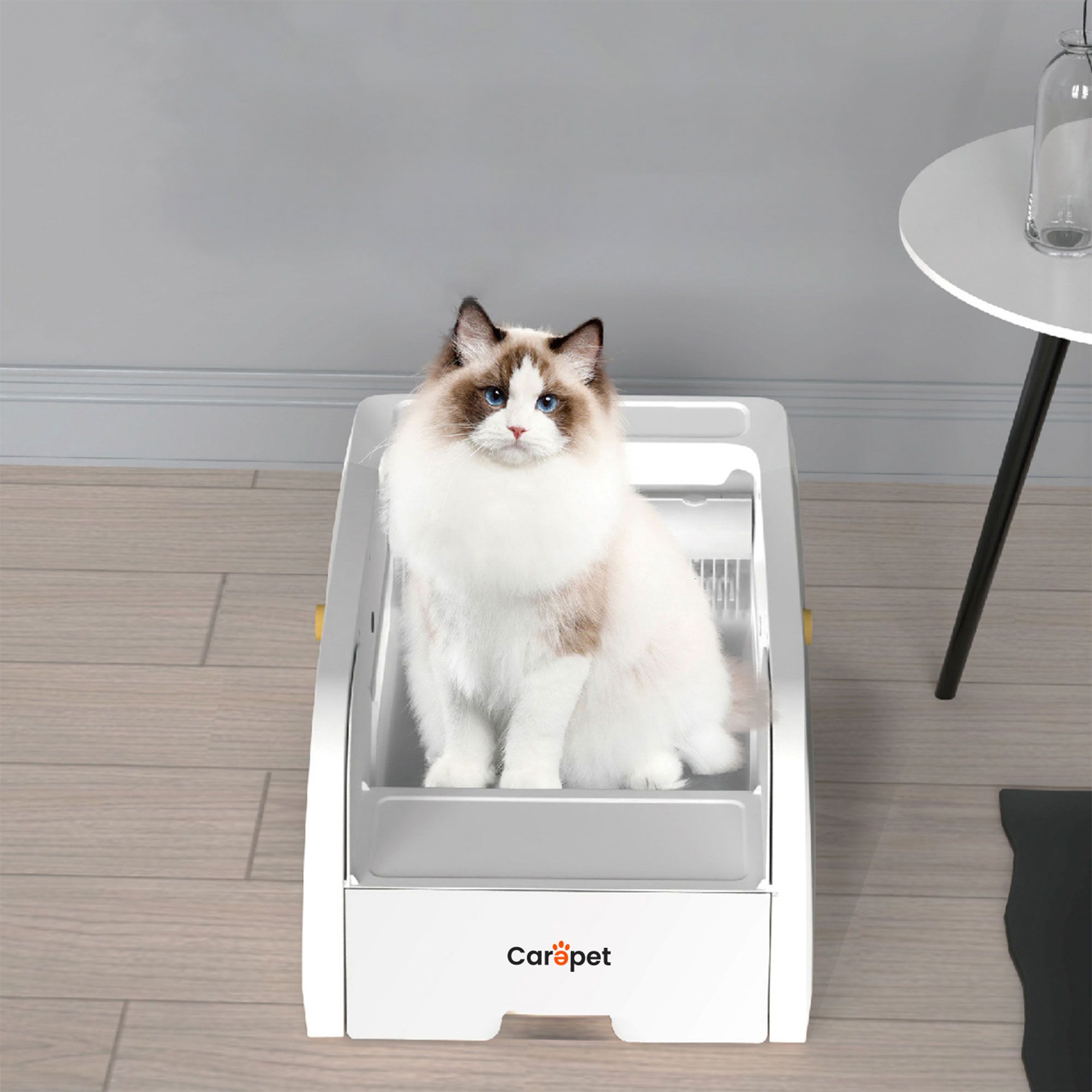 Carepet
Lettiera autopulente
C102WC con
telecamera