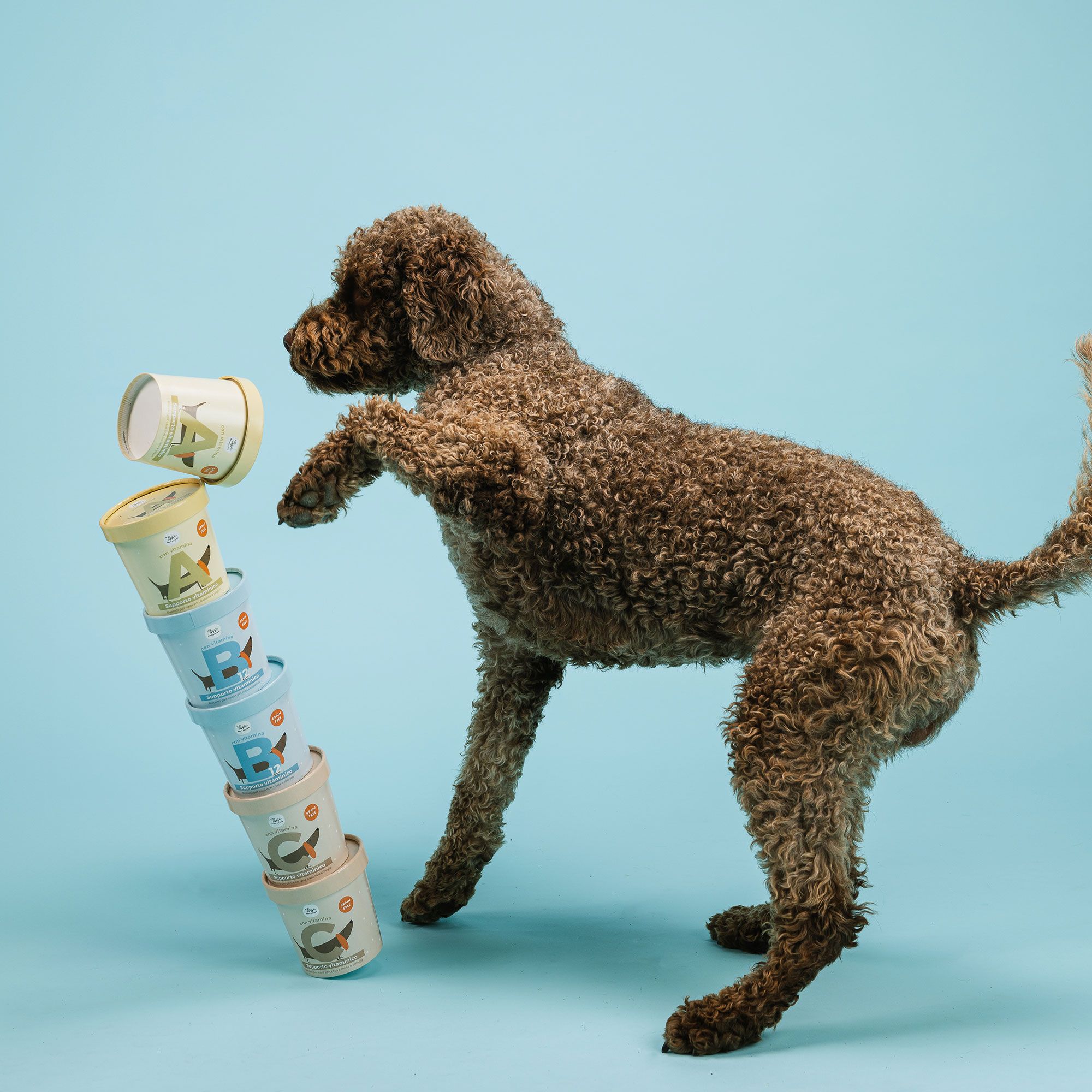 Hygge Integratori per cani: ABC del Benessere + 7 Easy Water