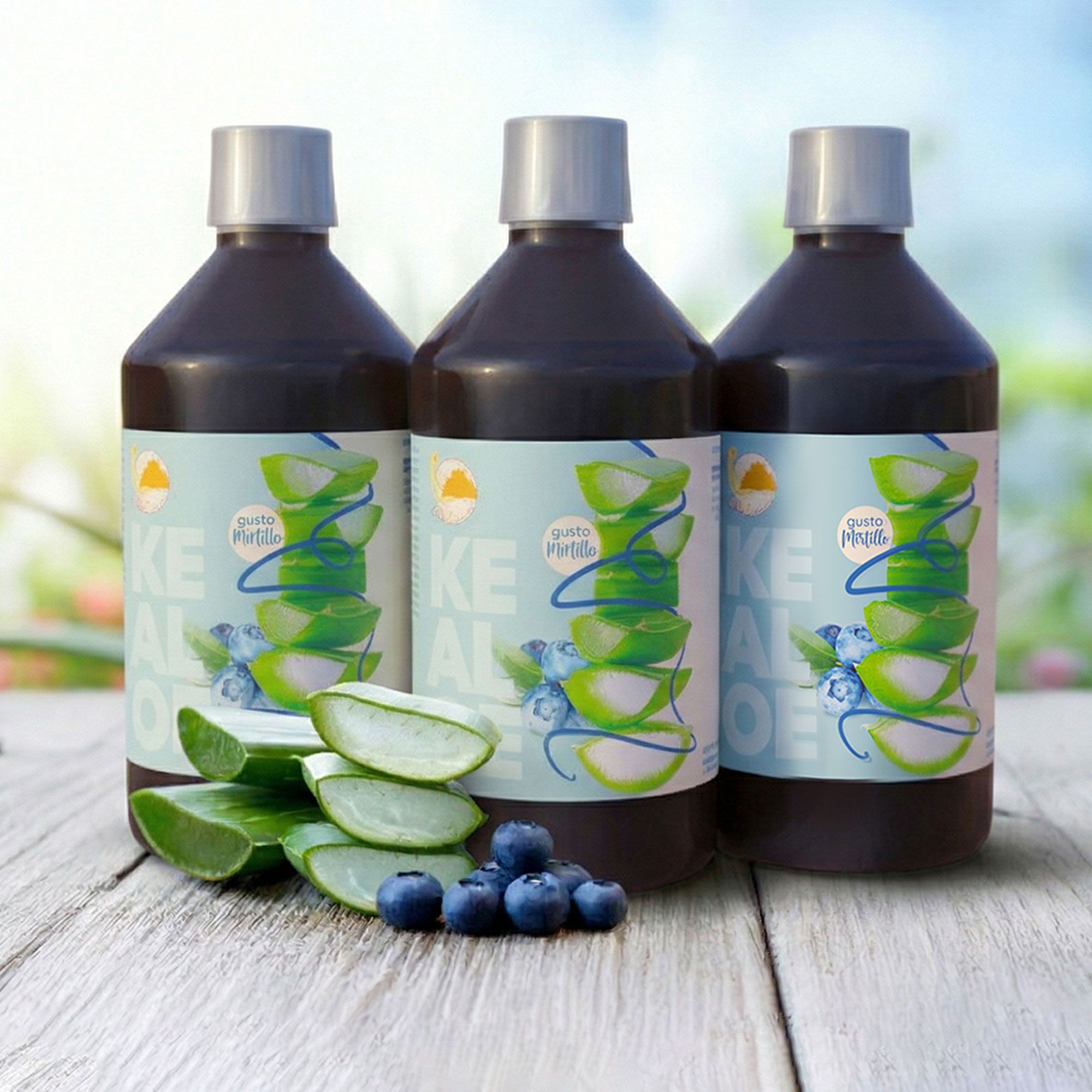 KeBakery
Ke Aloe
integratore gusto
mirtillo (3x1litro)