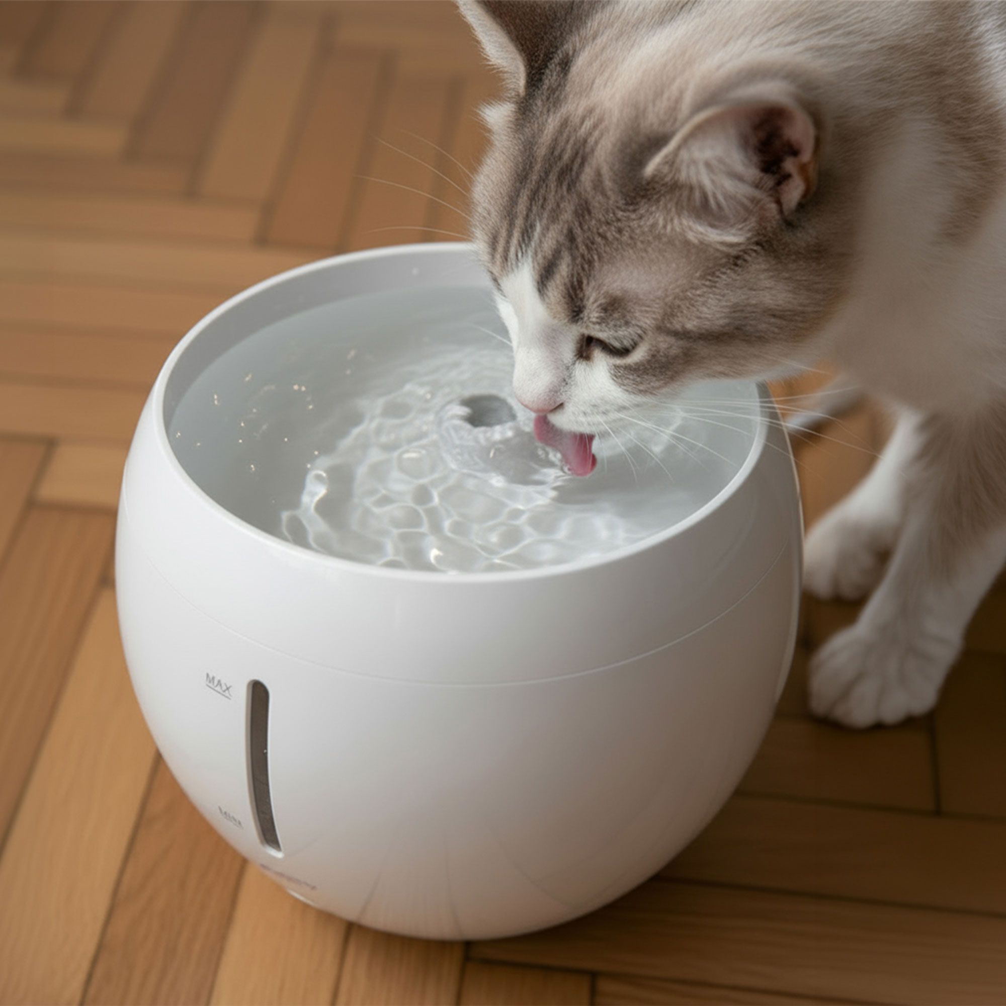  Easy Pet
Fontanella
intelligente
per gatti 2 litri