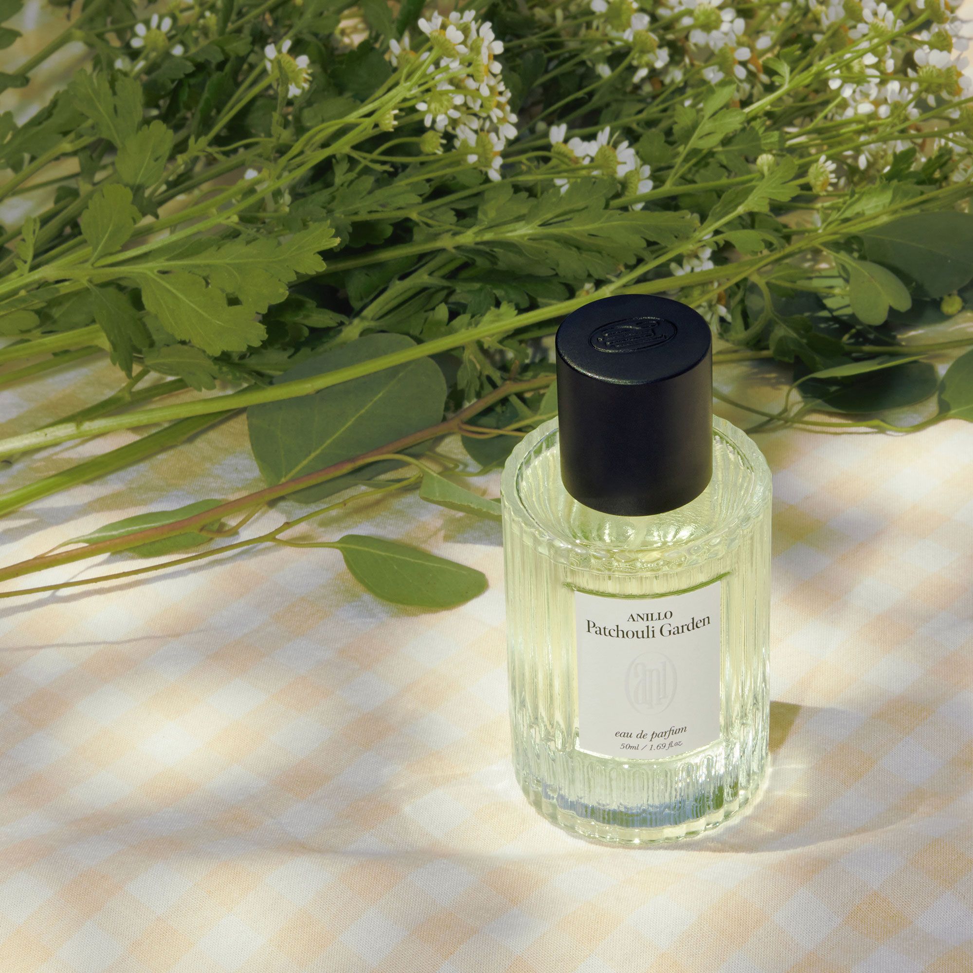 Anillo
Patchouli Garden
Eau De Parfum
(50ml)