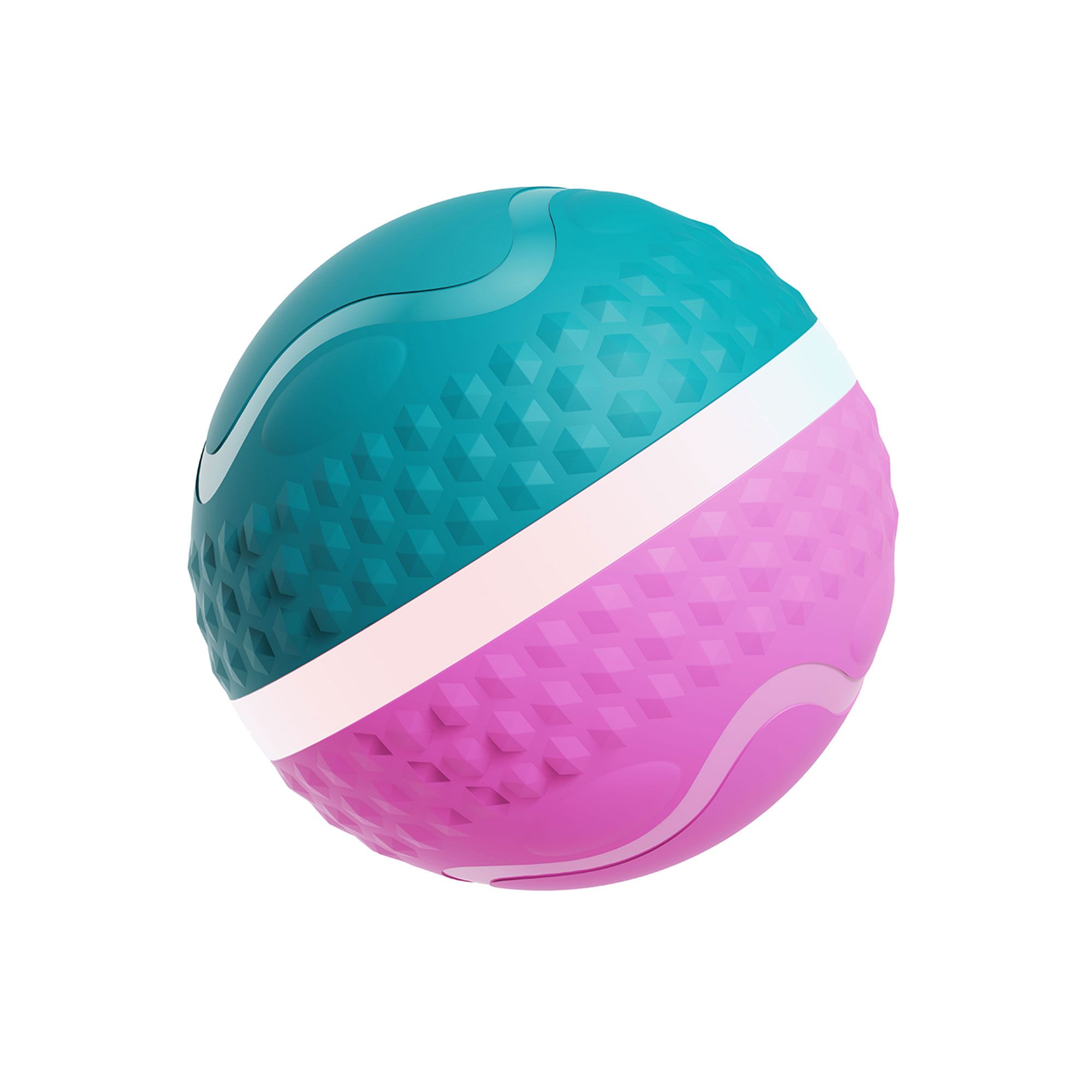  Easy Pet
Pallina interattiva
automatica