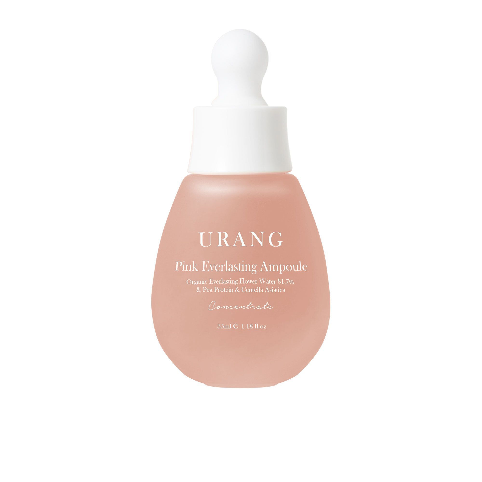 QVC Urang Siero viso Pink Everlasting Ampoule con elicriso