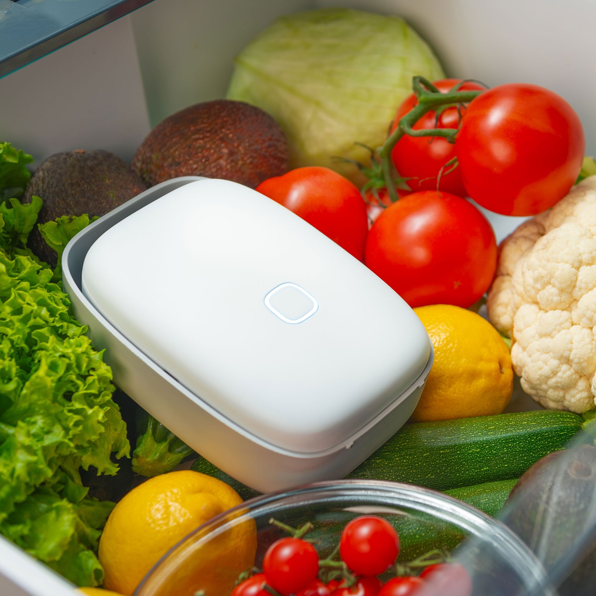 Vitesy
Shelfy Purificatore
frigorifero prolunga
freschezza del cibo