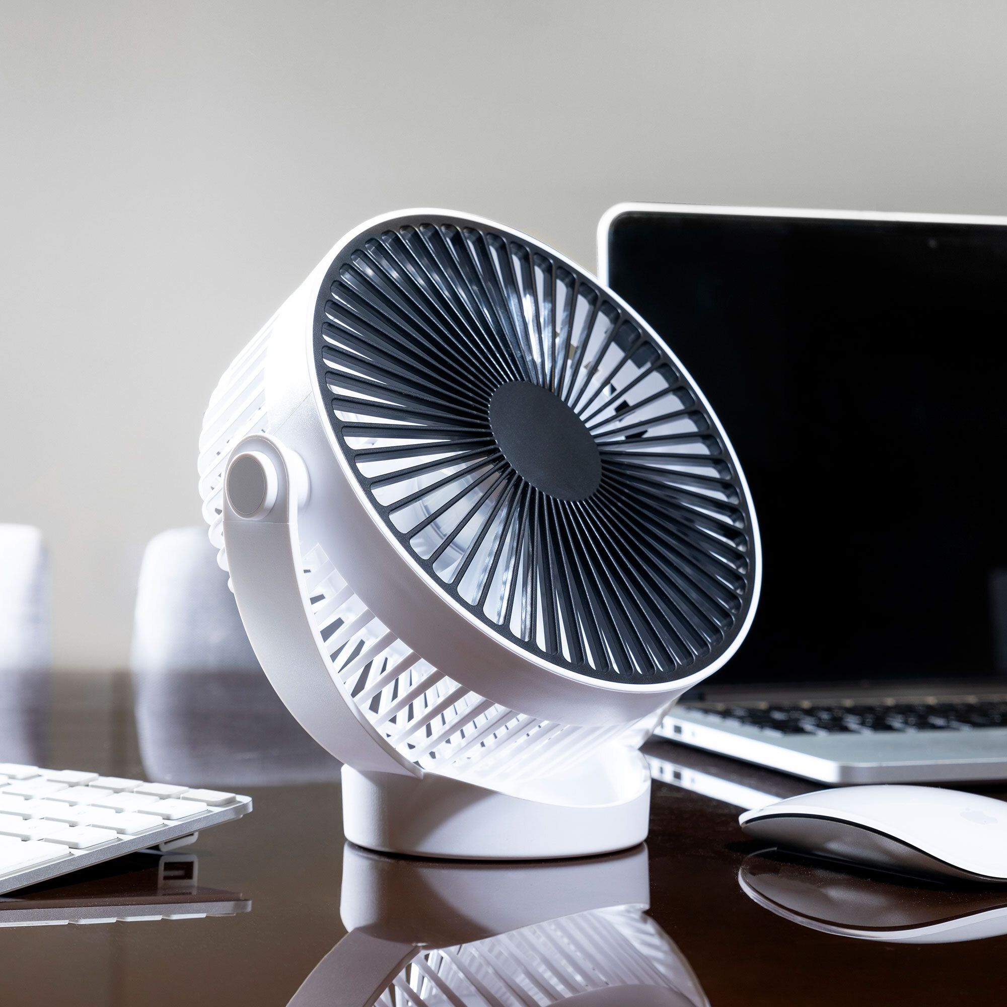 Dmail
Ventilatore
ricaricabile
da tavolo