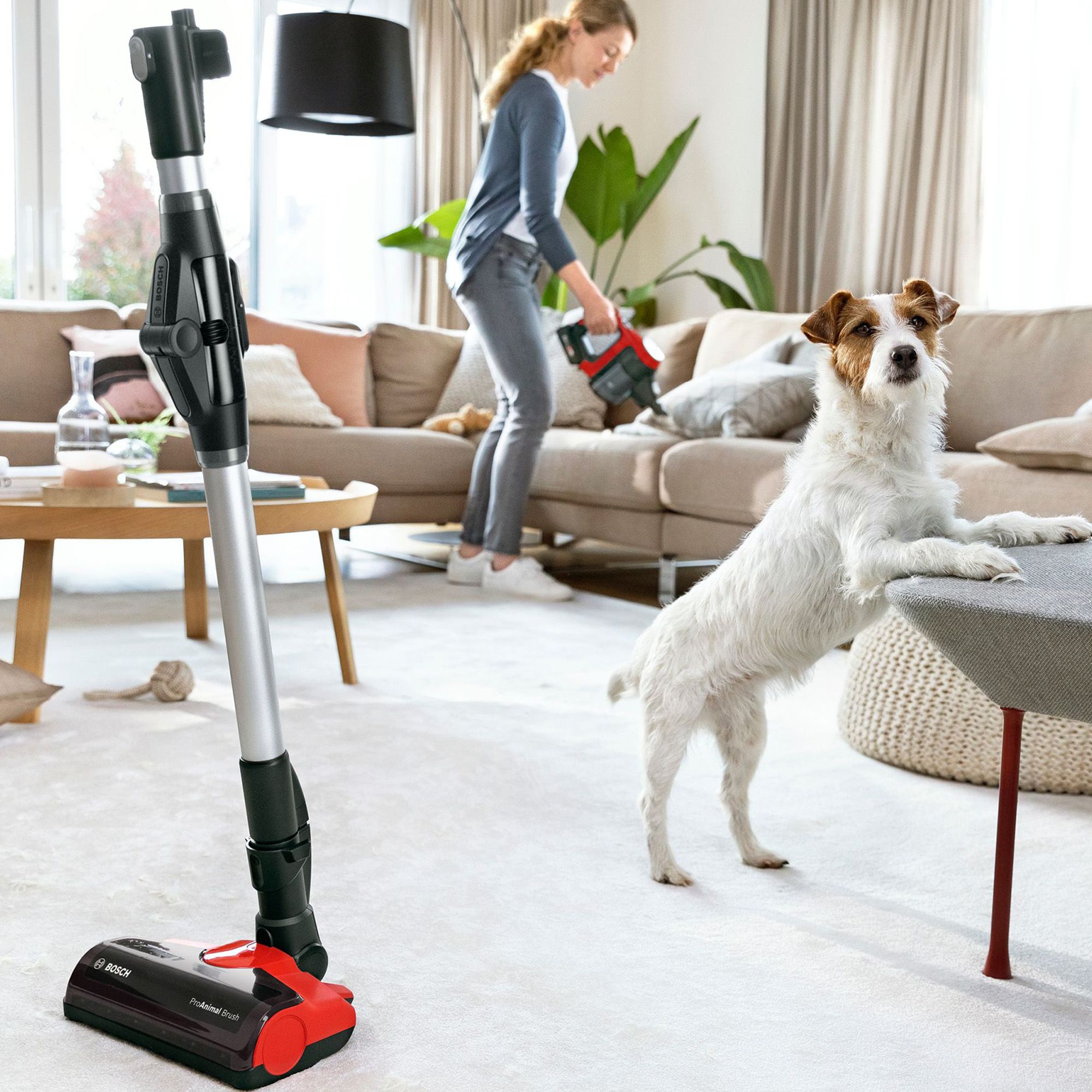 Bosch
Scopa elettrica
Unlimited 7