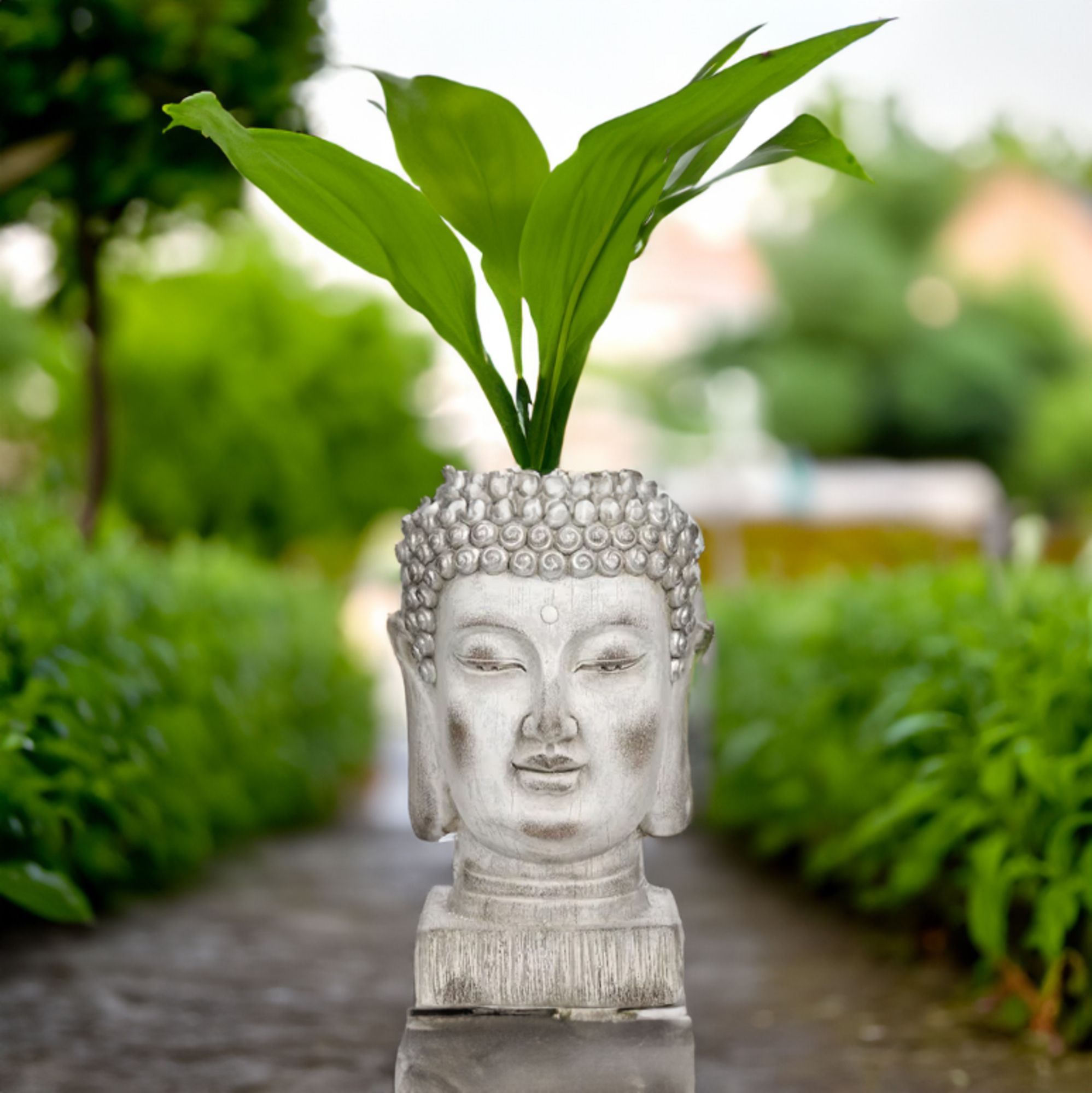 QVC Garden Reflections Vaso Buddha grigio per esterni 100% magnesia 6 5kg 30 5 x 30 5 x 45cm