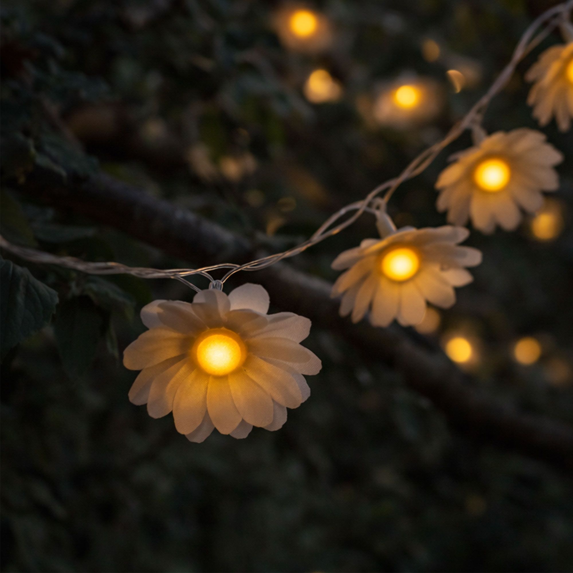 Garden Stories
Set di 24 luci a
Led bianco caldo
a forma di girasole