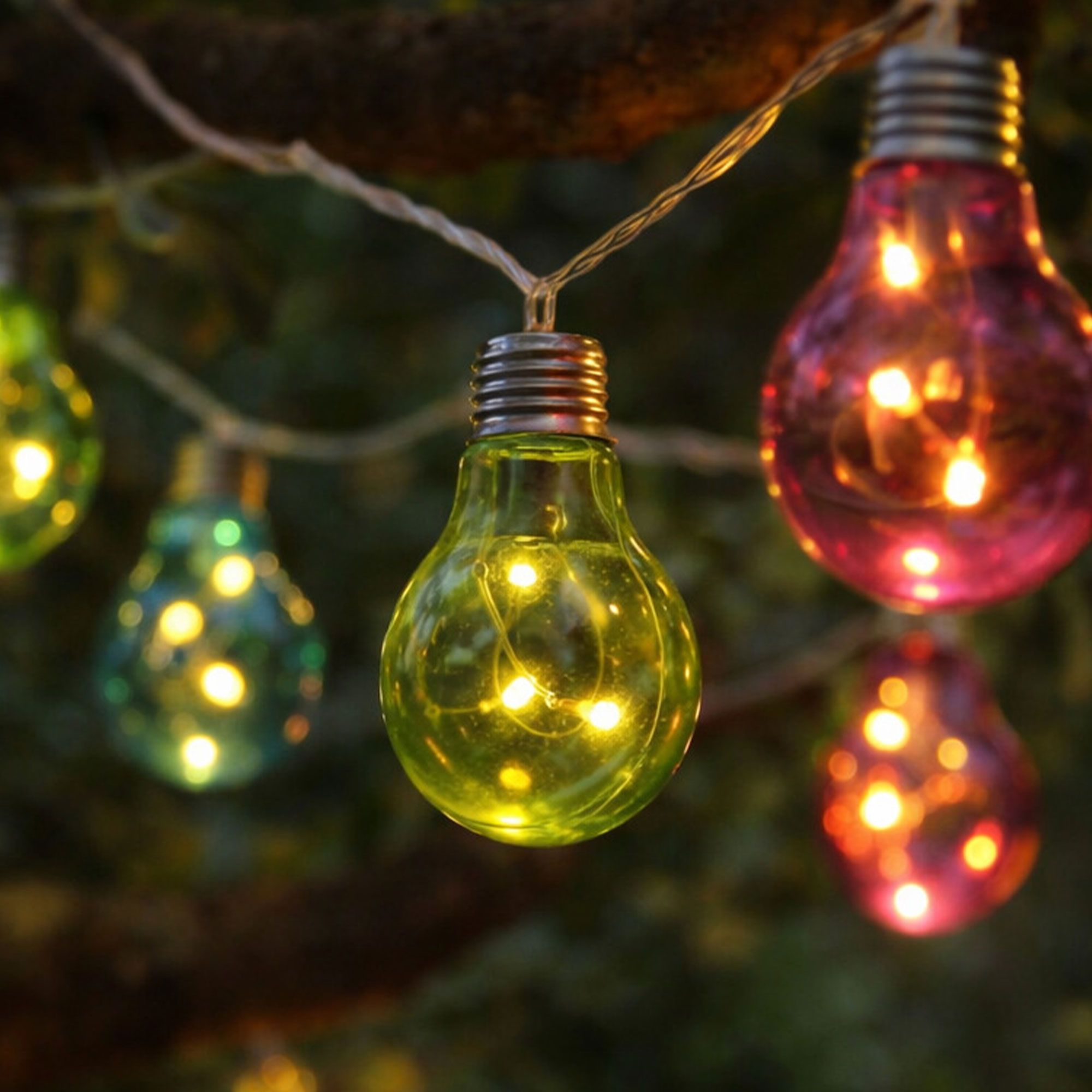 Garden Stories
Set luci decorative
12 bulbi LED
multicolore
