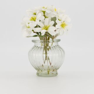 Garden Stories
Vaso in vetro
con fiori artificiali